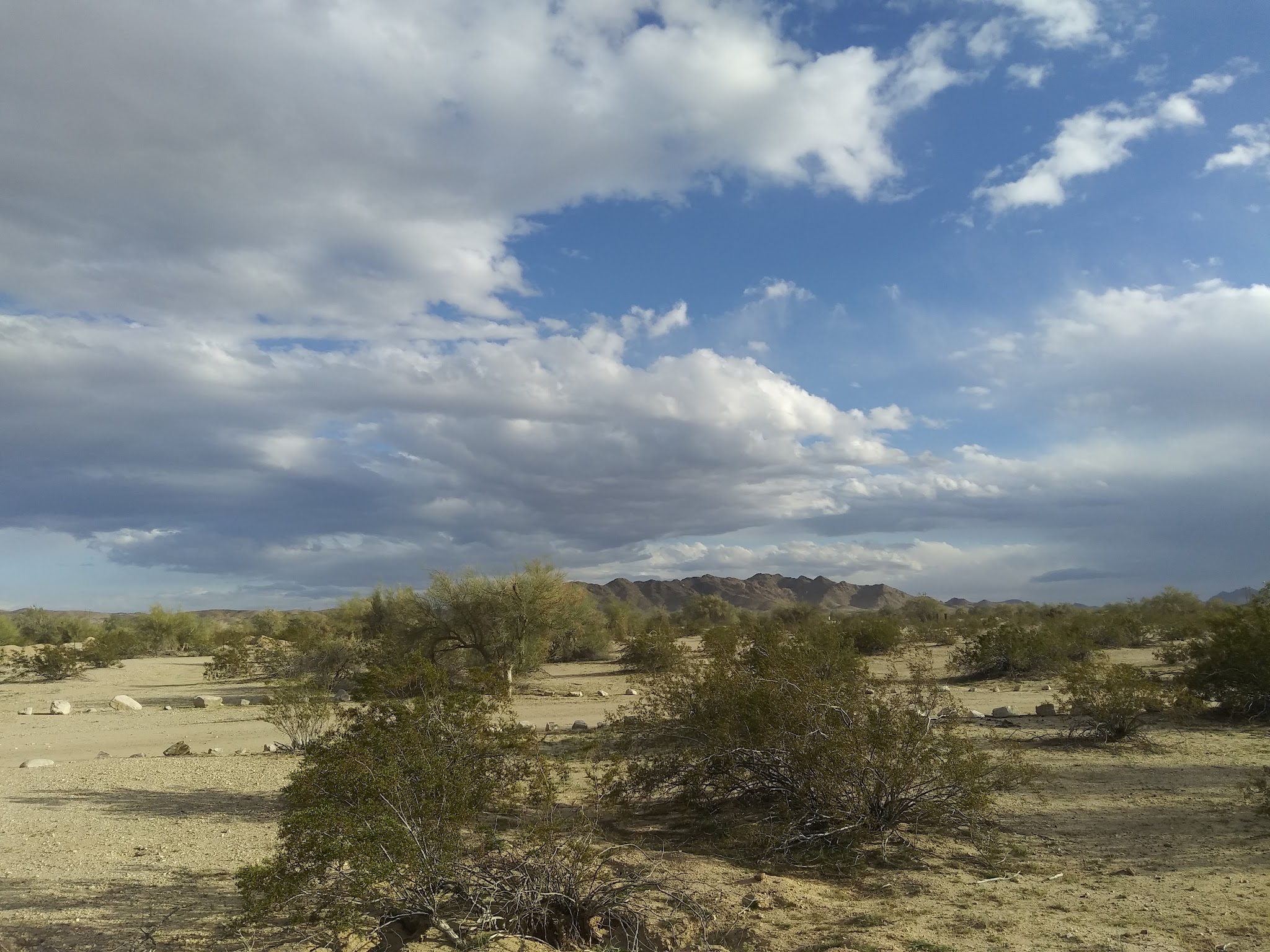Wiley'S Well Campground | CA | Camping Information & Reviews