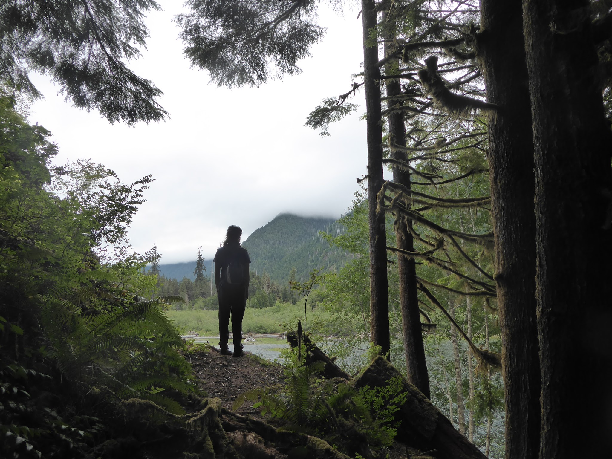 Wynoochee Lake Shore Trailhead - Coho Campground