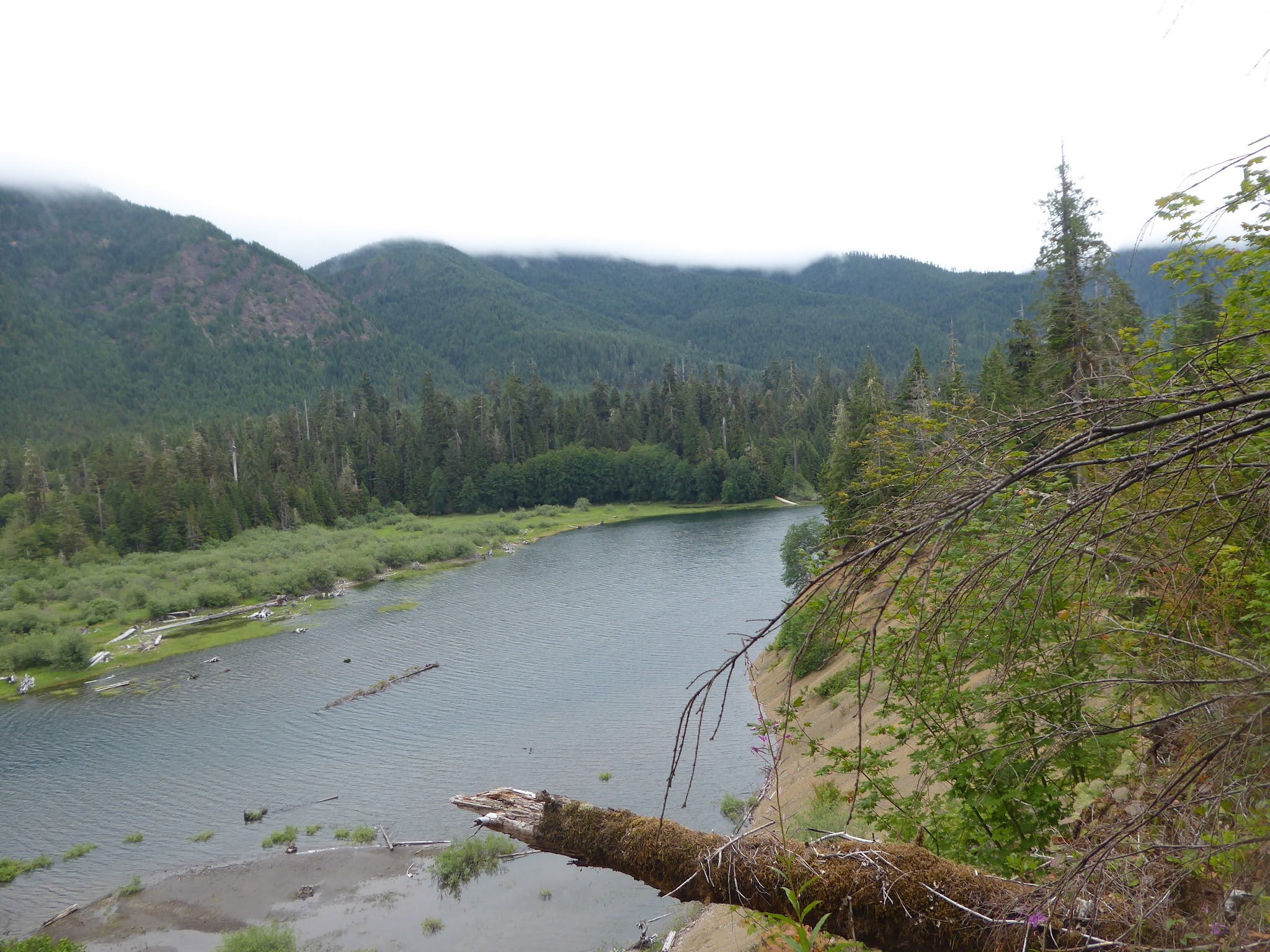 Wynoochee Lake Shore Trailhead - Coho Campground
