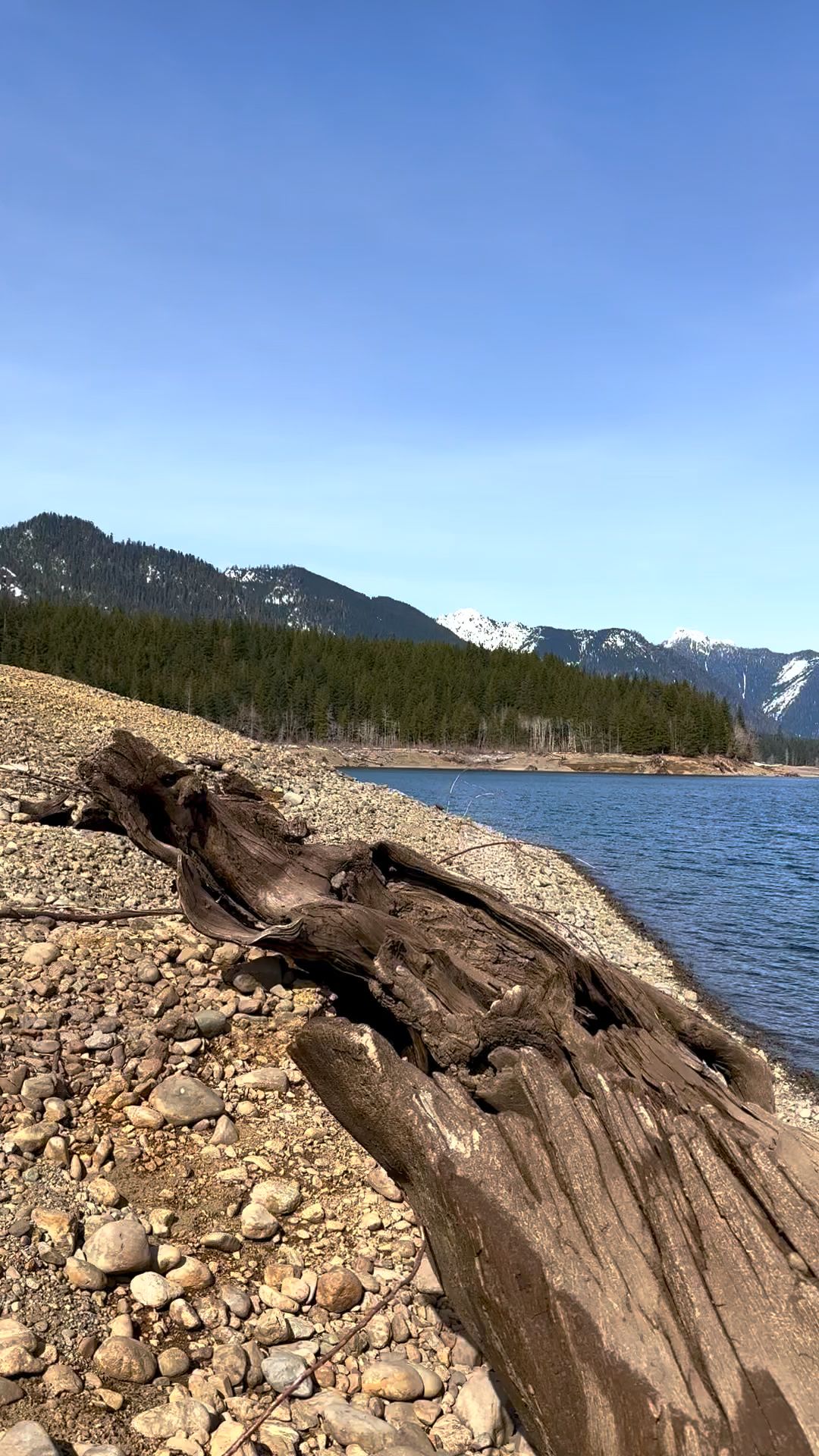 Wynoochee Lake Shore Trailhead - Coho Campground