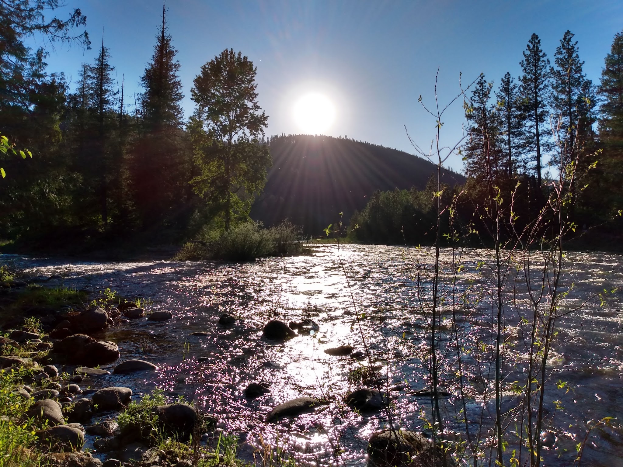 Yaak River Campground (Mt)