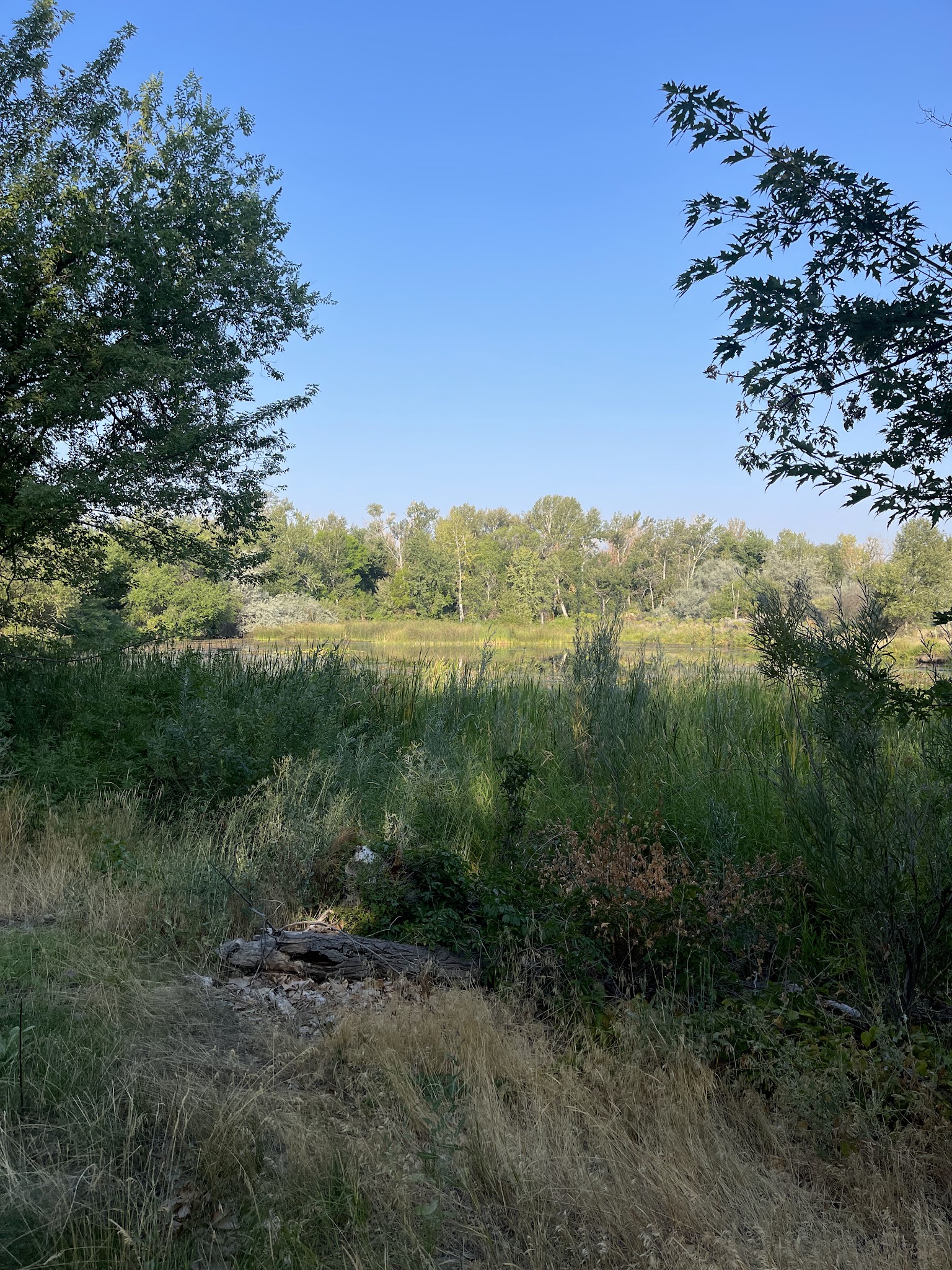 Yakima Sportsman State Park
