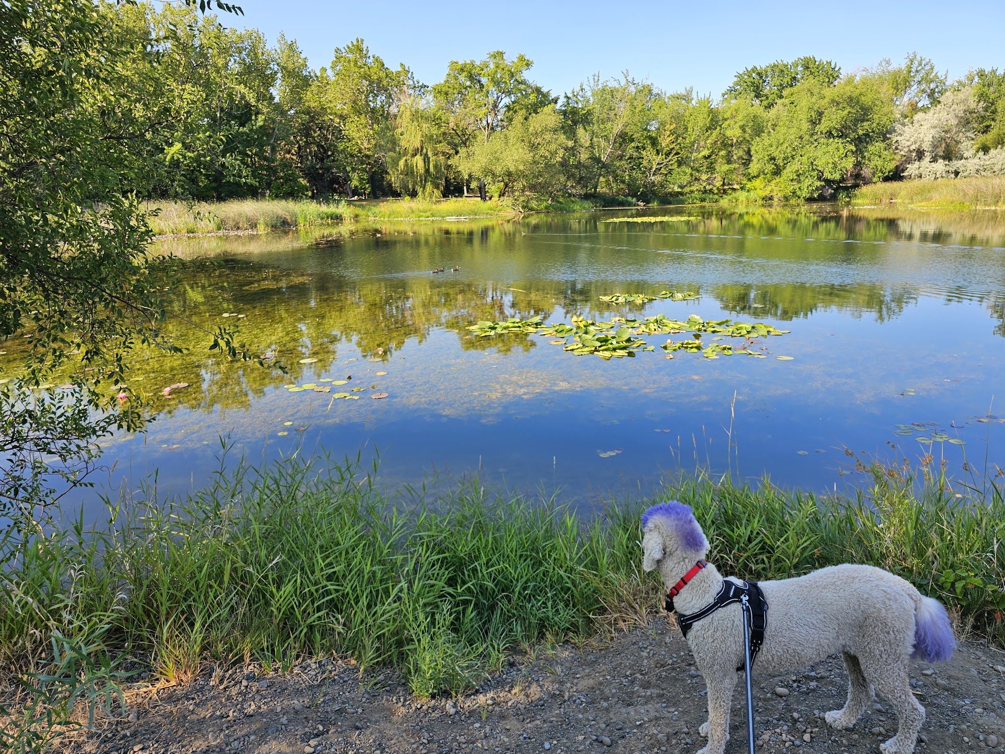 Yakima Sportsman State Park