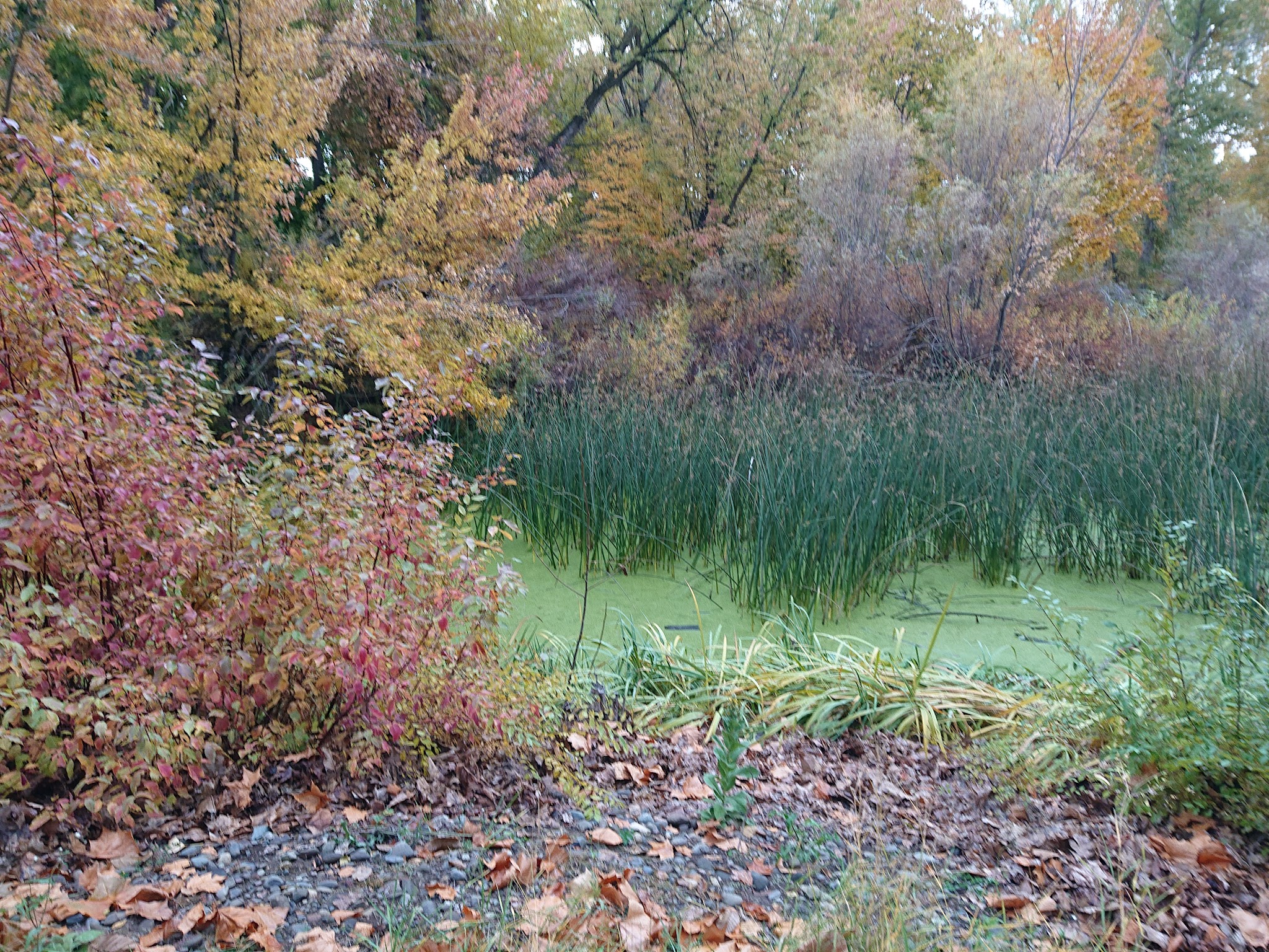Yakima Sportsman State Park