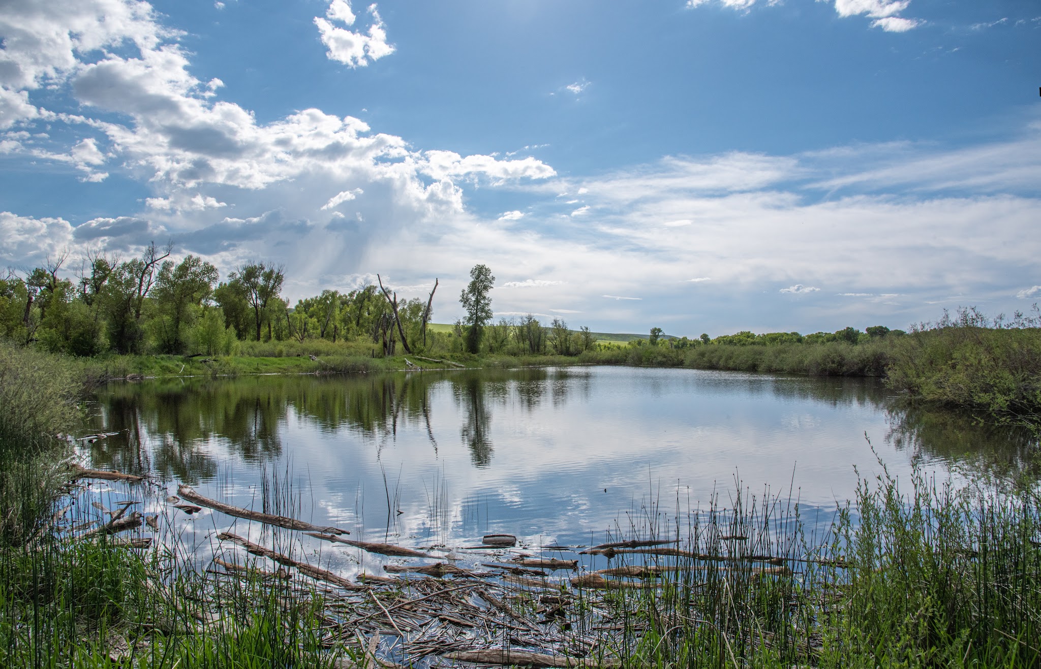 Yampa River State Park