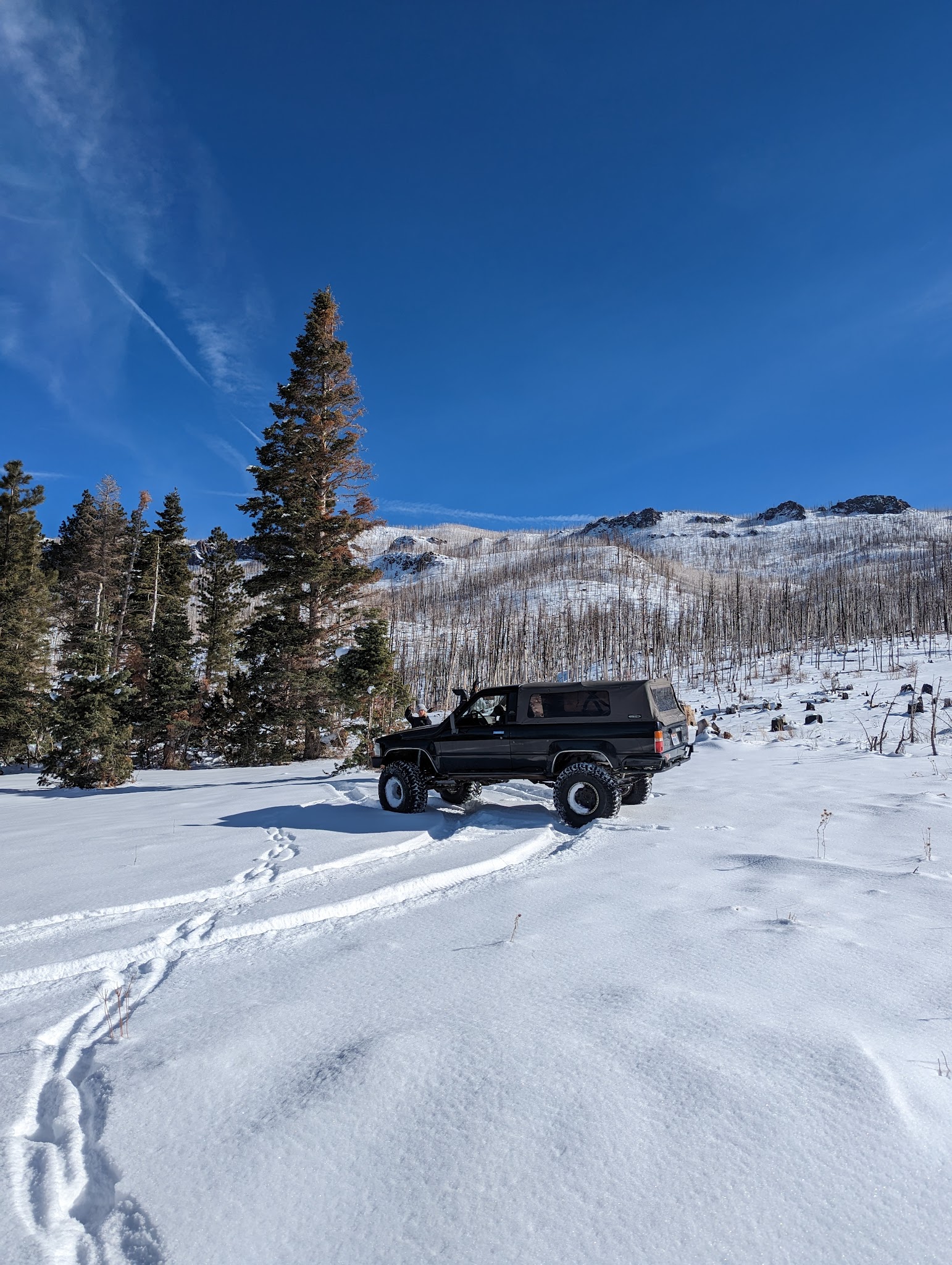 Yankee Designated Dispersed Camping Area