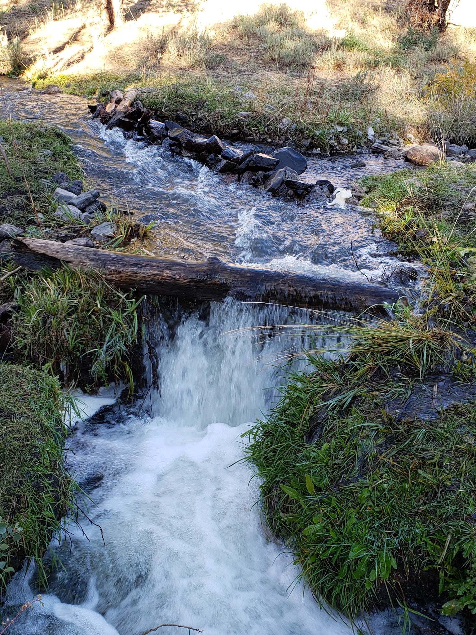 Yankee Designated Dispersed Camping Area