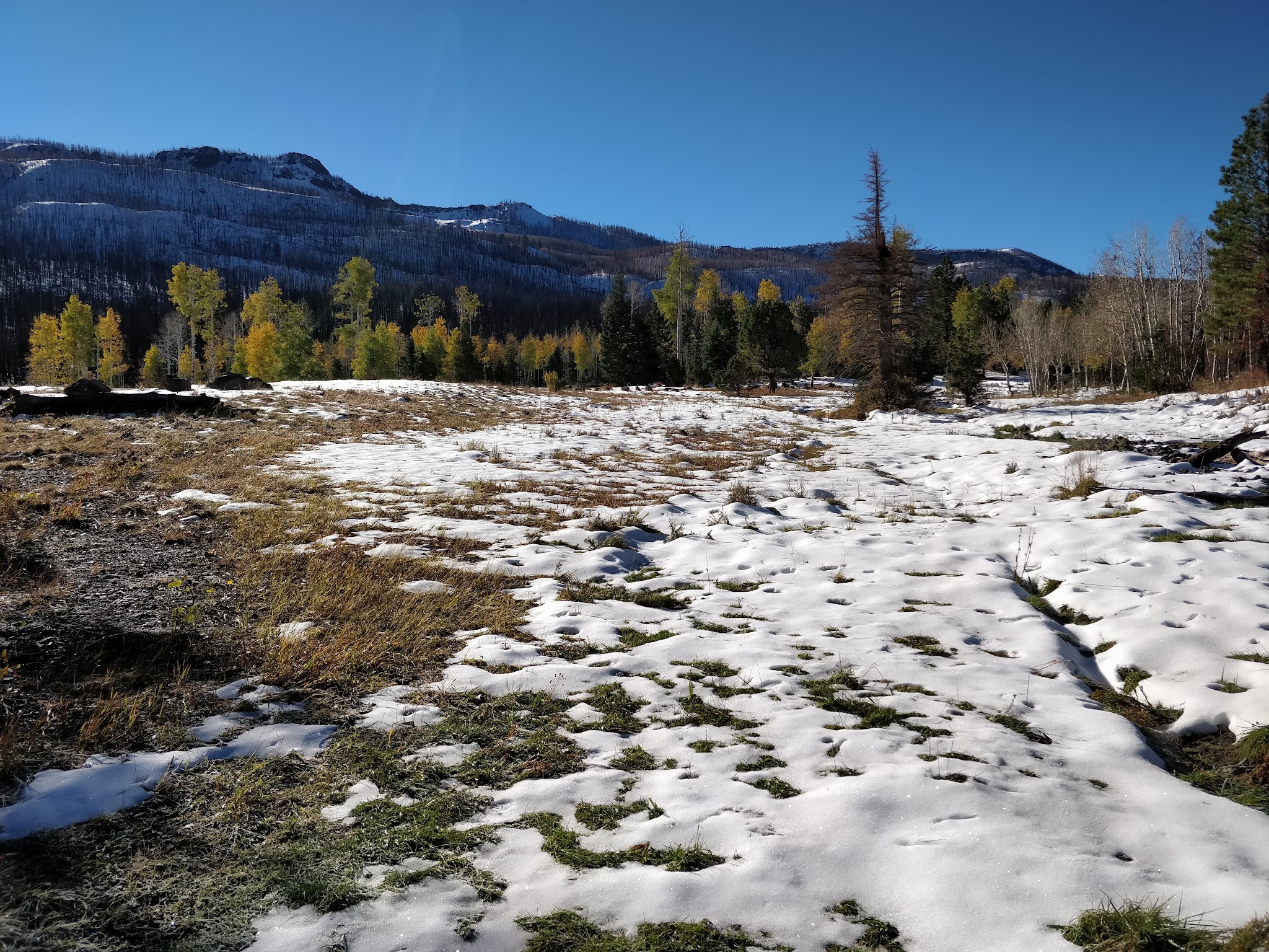 Yankee Designated Dispersed Camping Area
