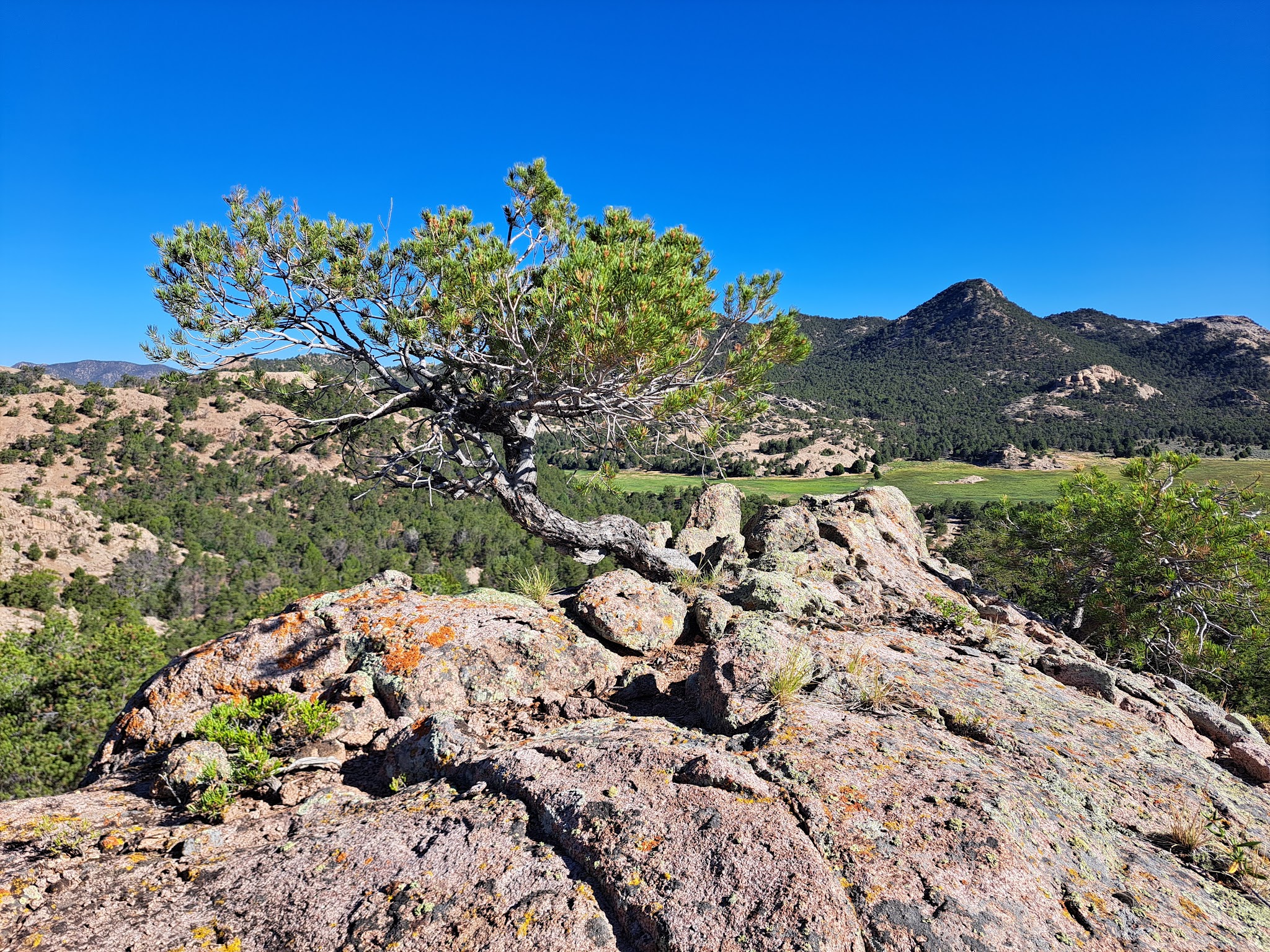 Yankee Meadow Campground