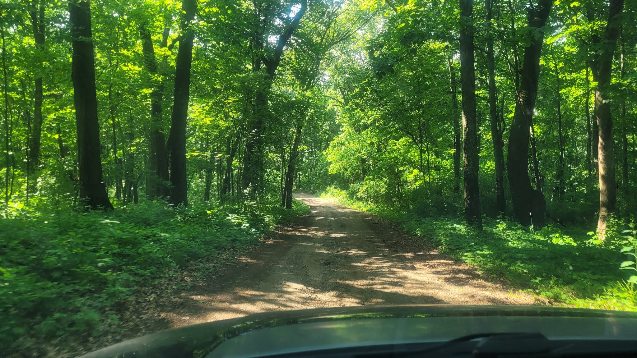Yankee Springs Gun Lake Campground