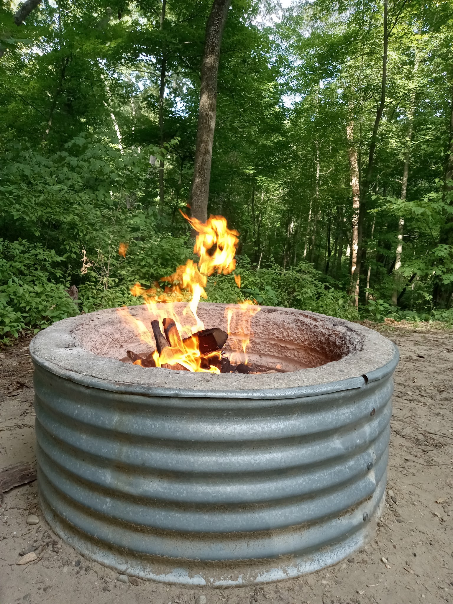 Yankee Springs Gun Lake Campground