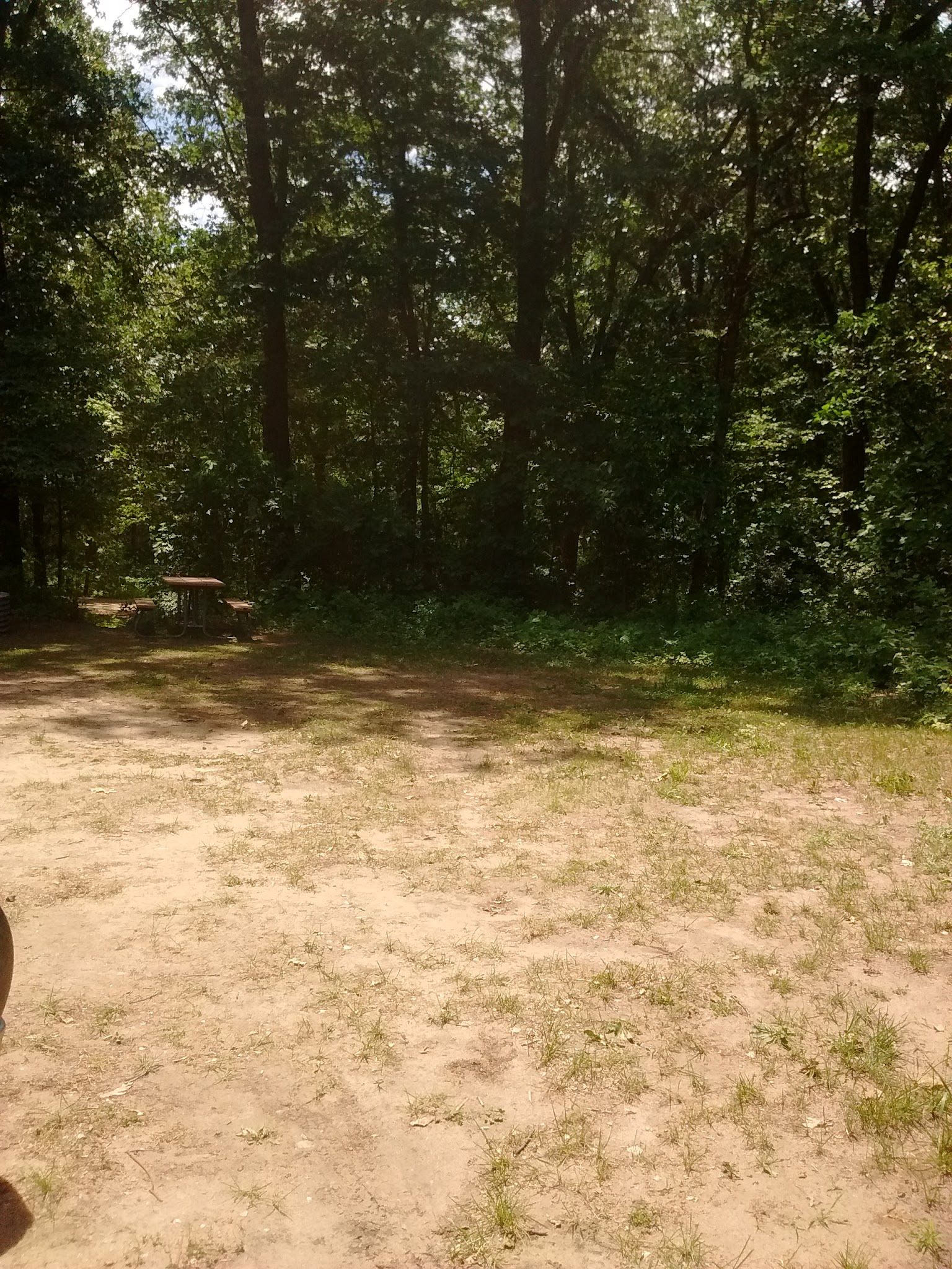 Yankee Springs Deep Lake Campground