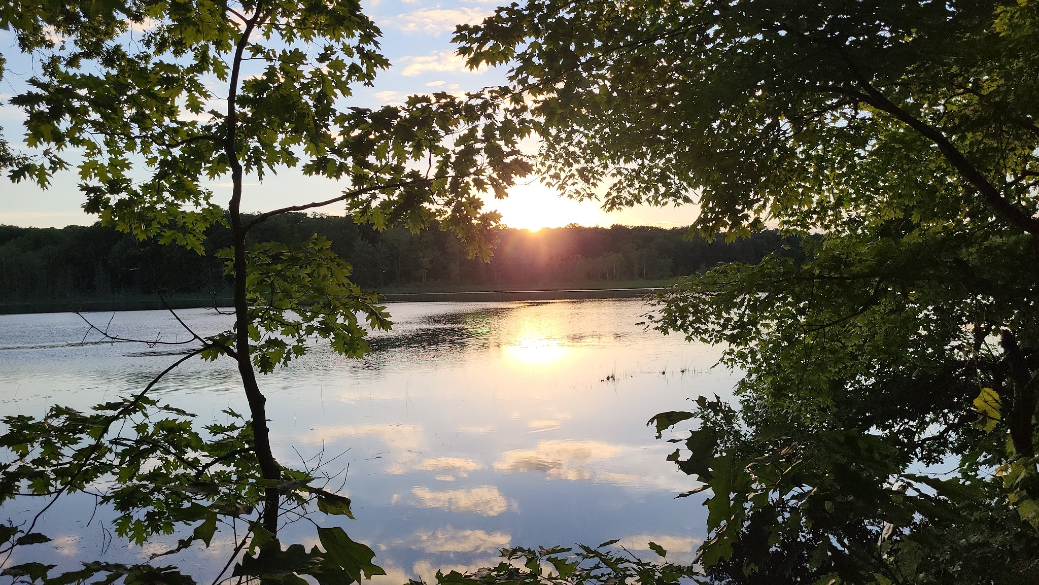 Yankee Springs Gun Lake Campground