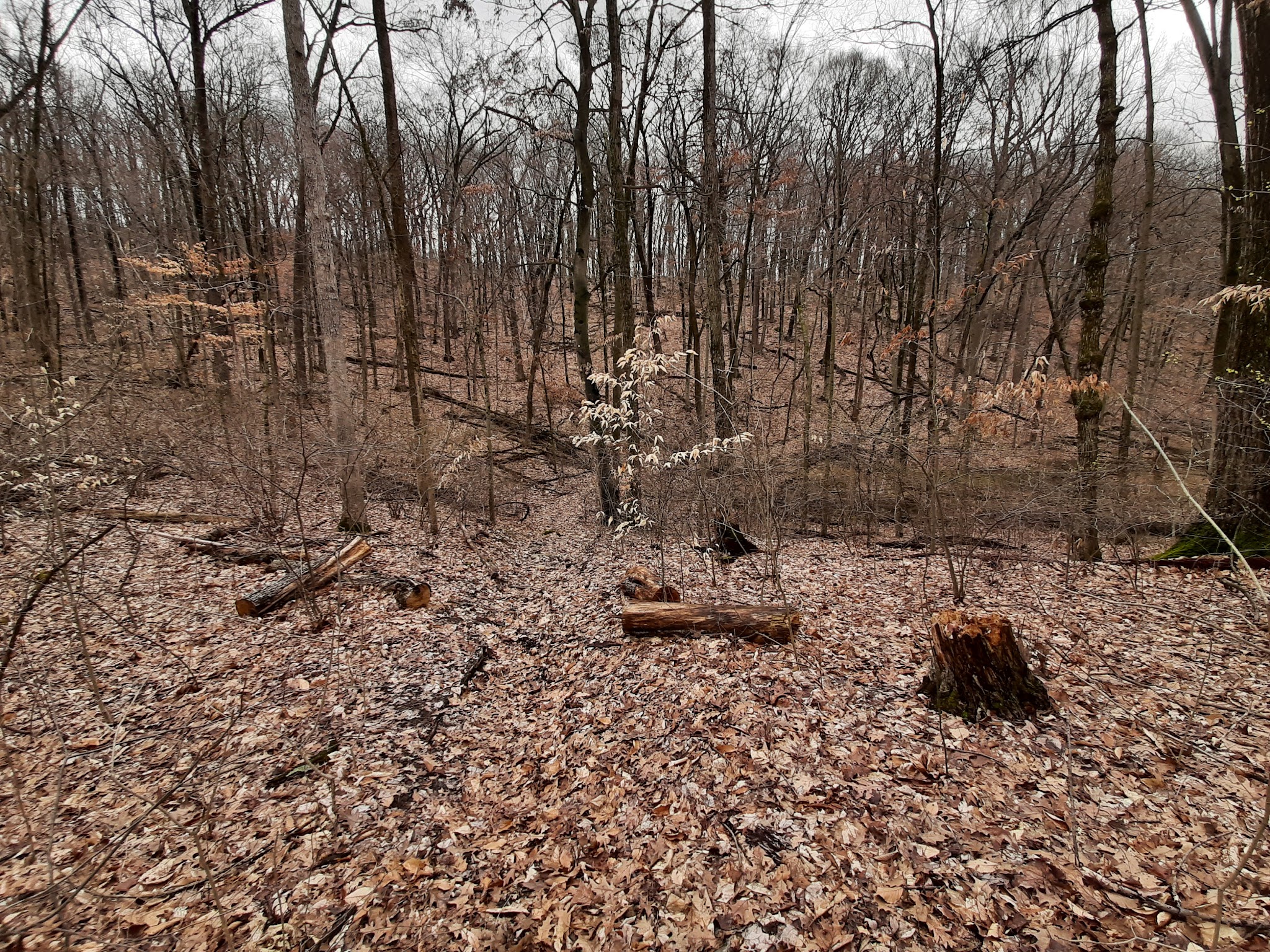 Yankee Springs-Equestrian Campground