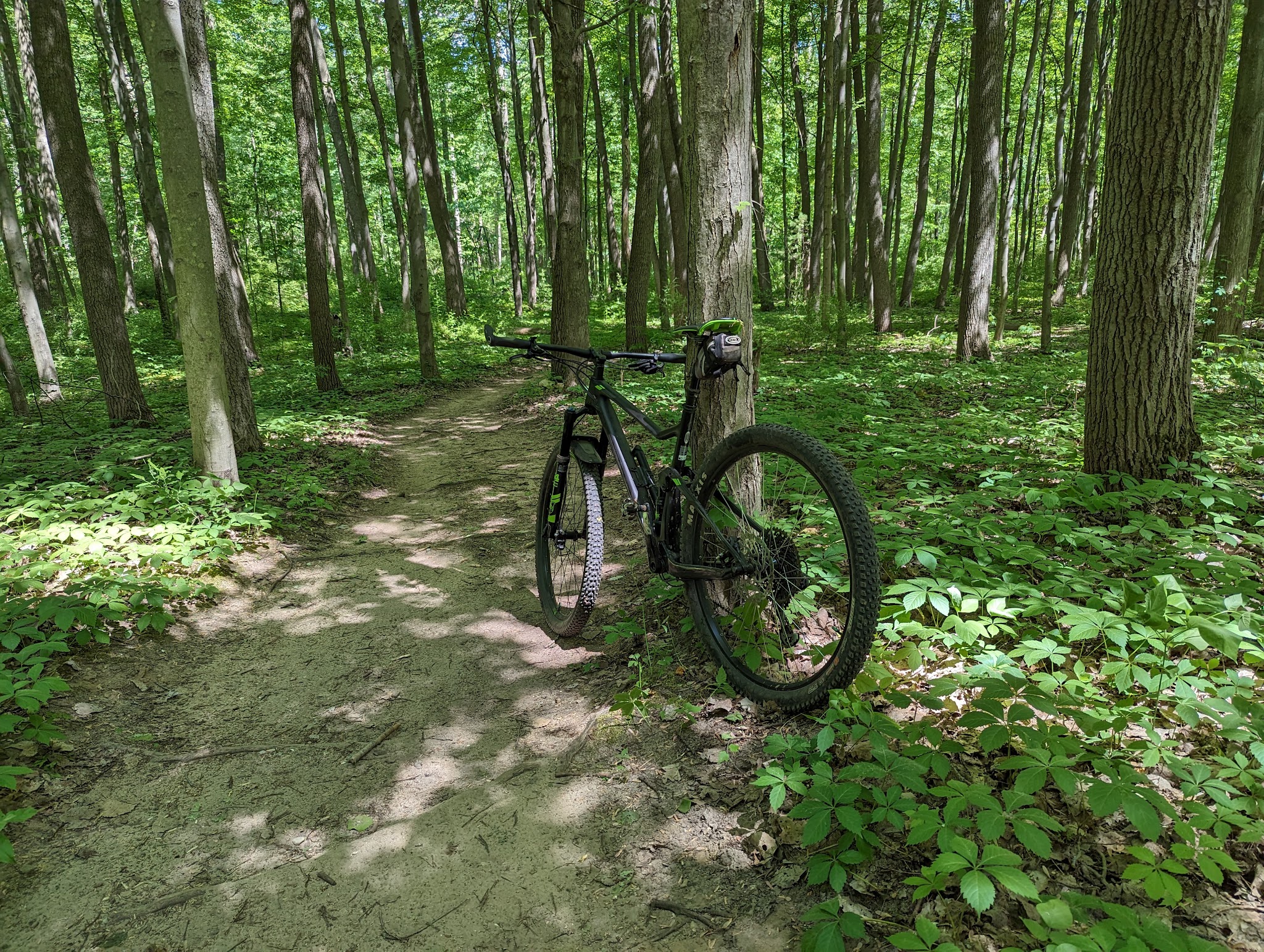 Yankee Springs Gun Lake Campground
