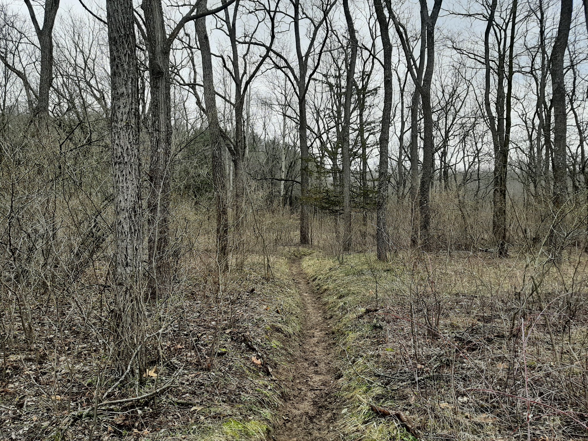 Yankee Springs-Equestrian Campground