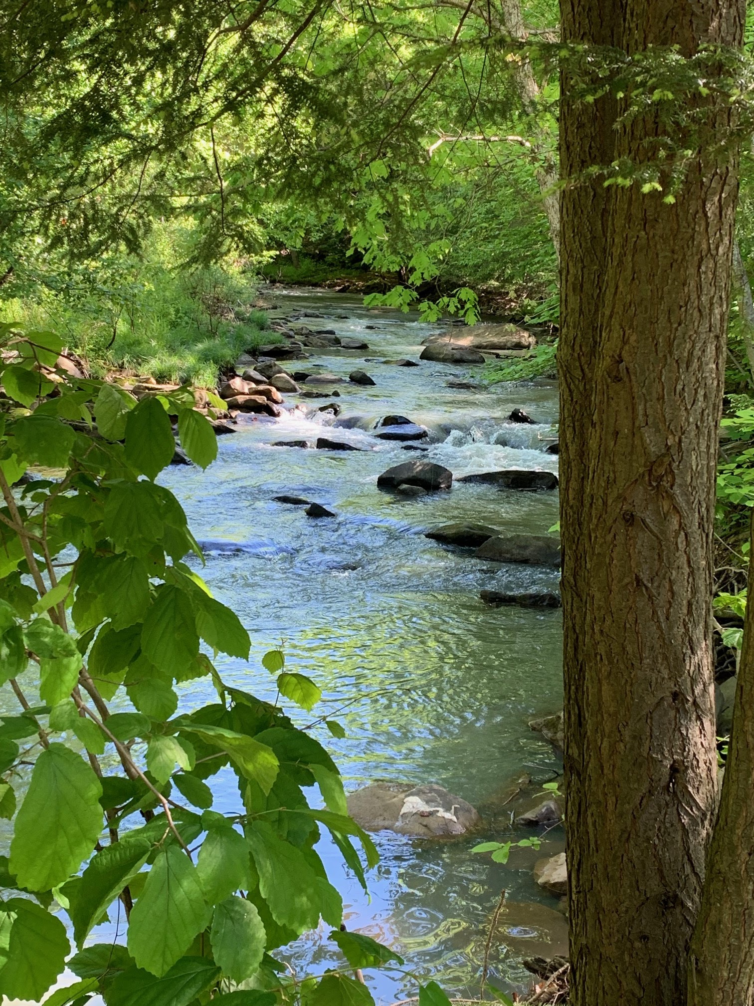 Yellow Creek State Park