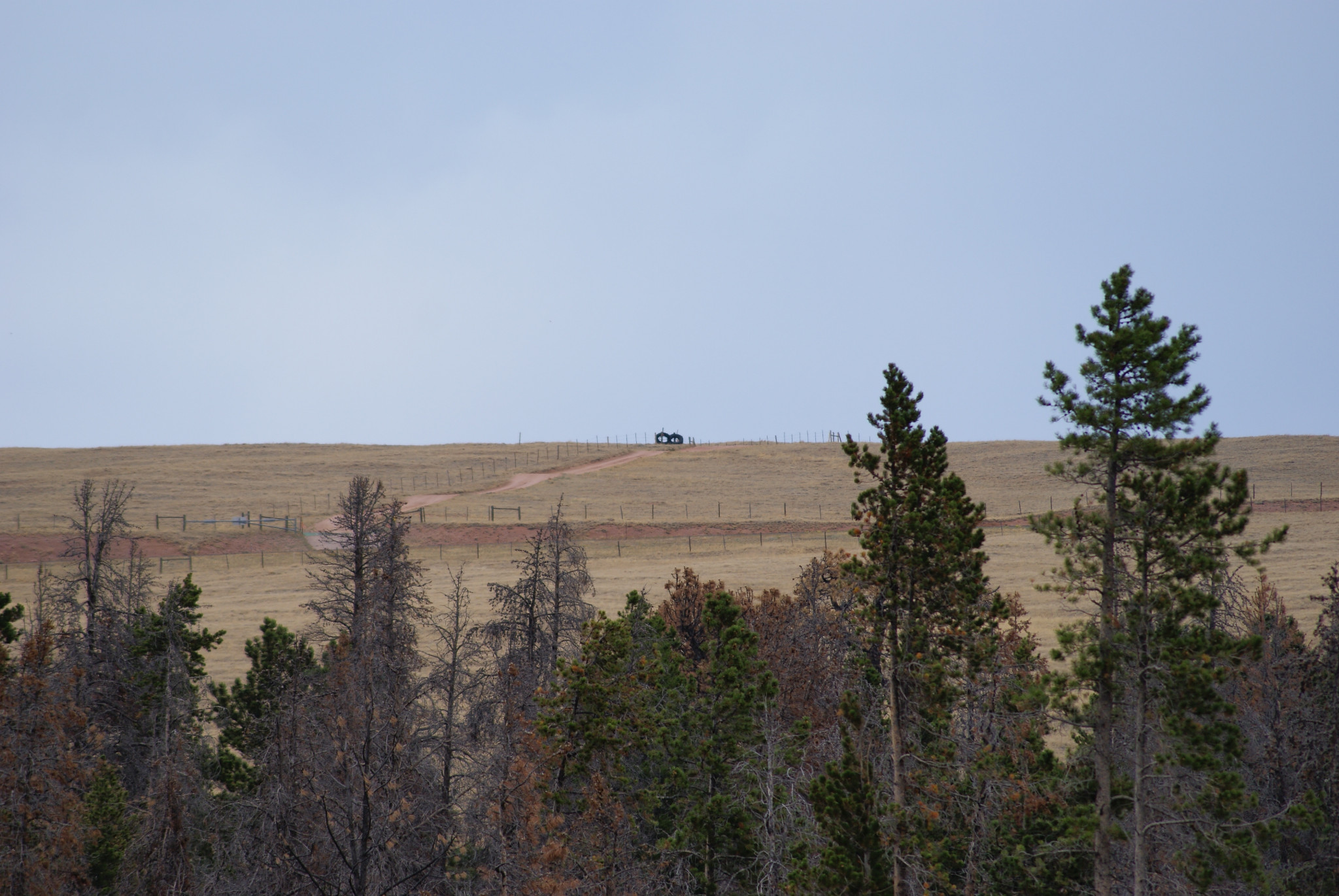 Pole Creek Dispersed Campground