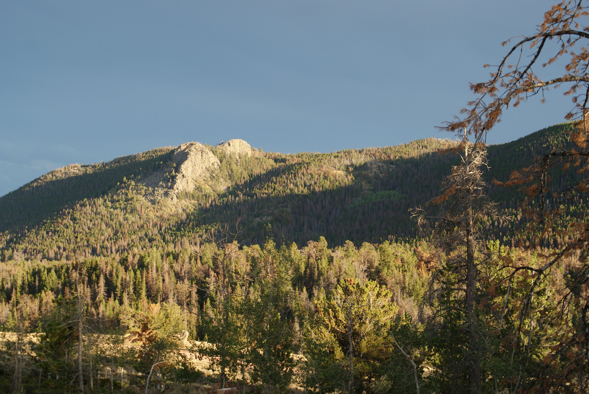 Pole Creek Dispersed Campground