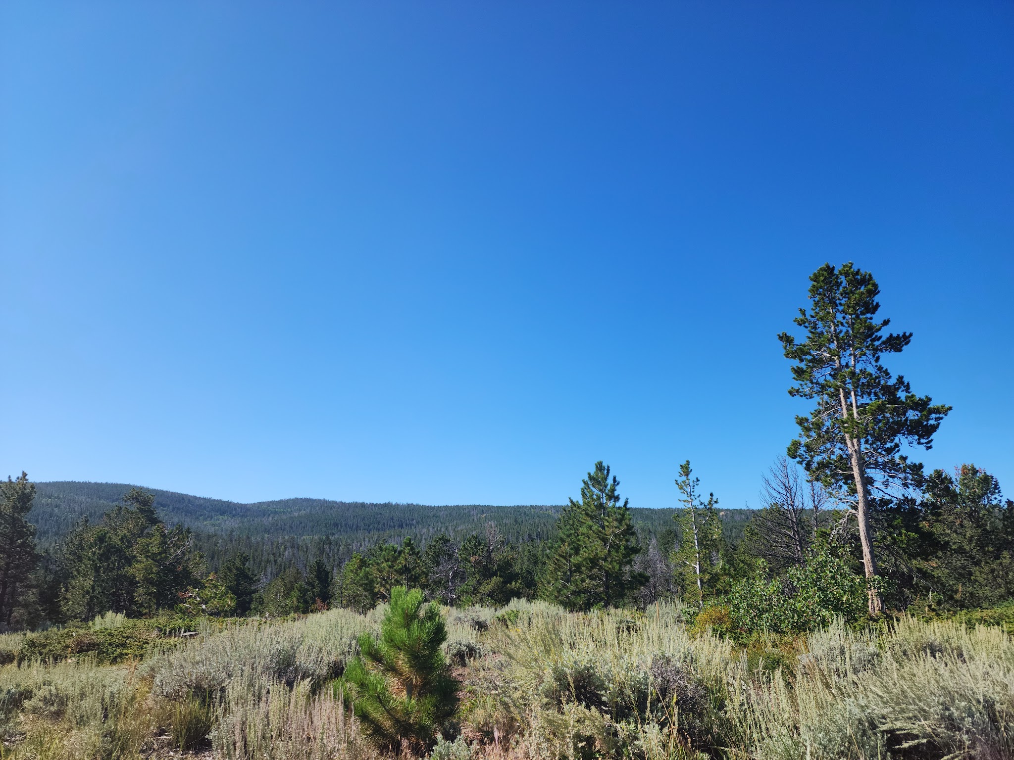 Pole Creek Dispersed Campground