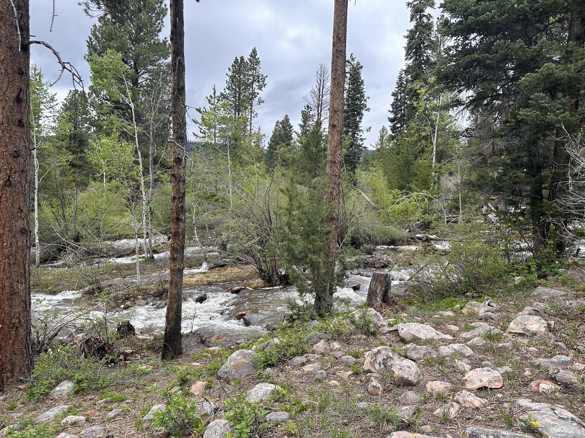 Yellow Pine Campground (Ut)