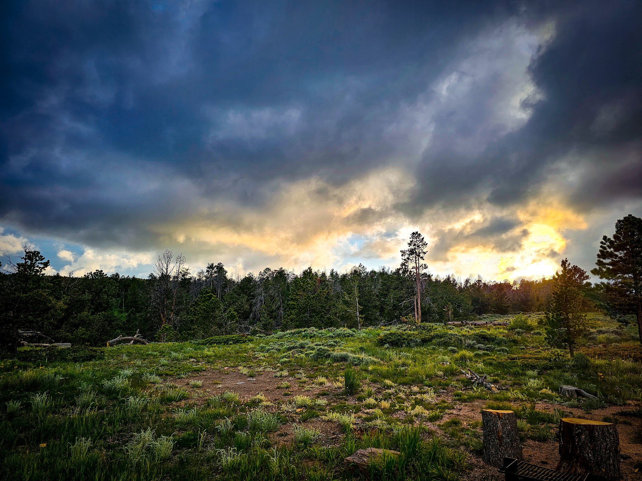 Pole Creek Dispersed Campground