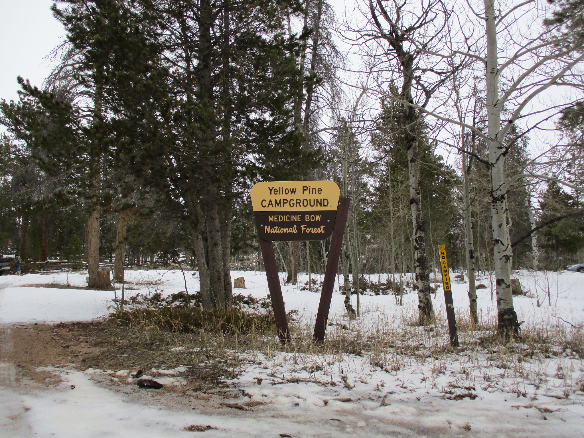 Pole Creek Dispersed Campground
