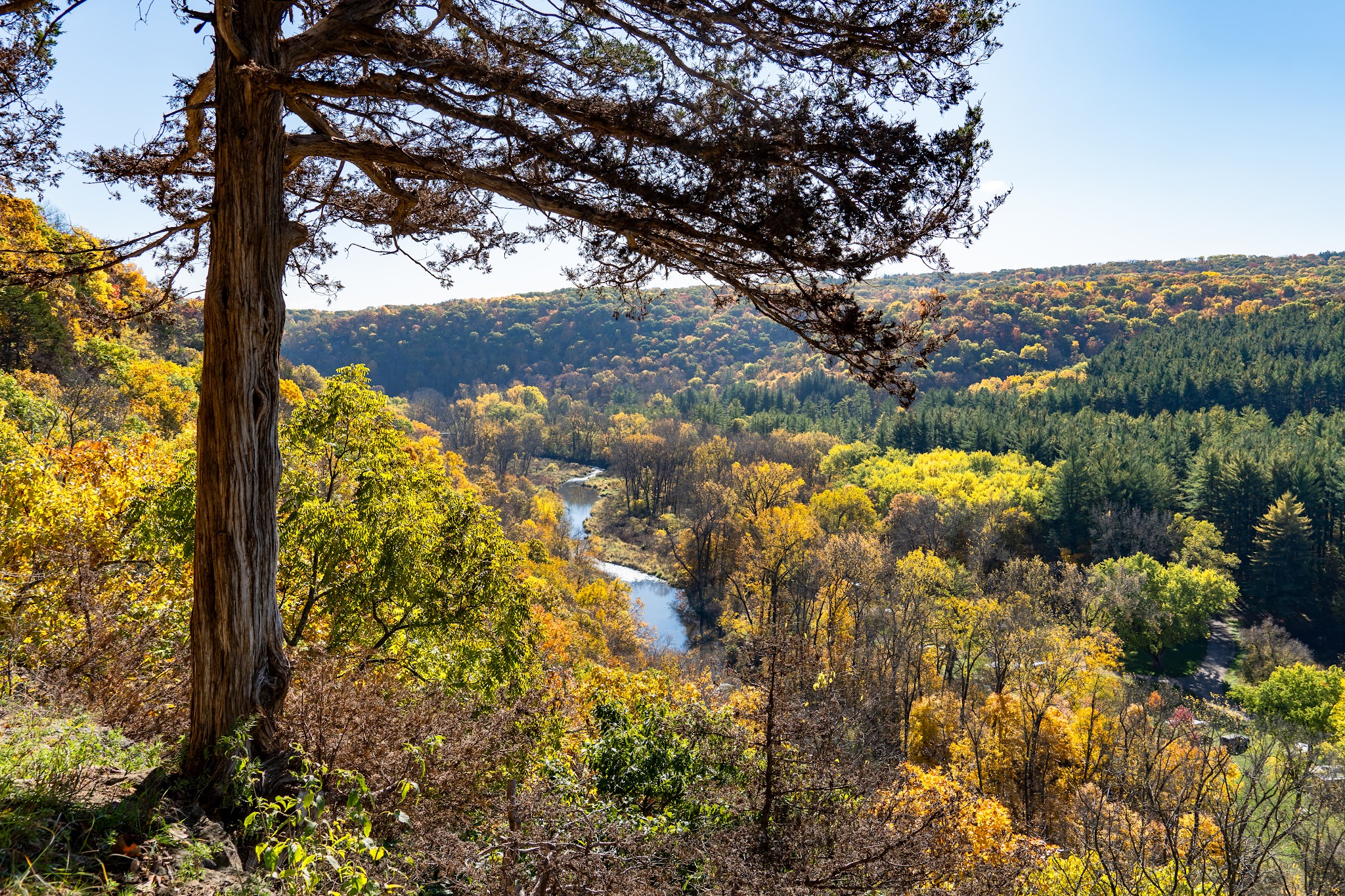Yellow River State Forest