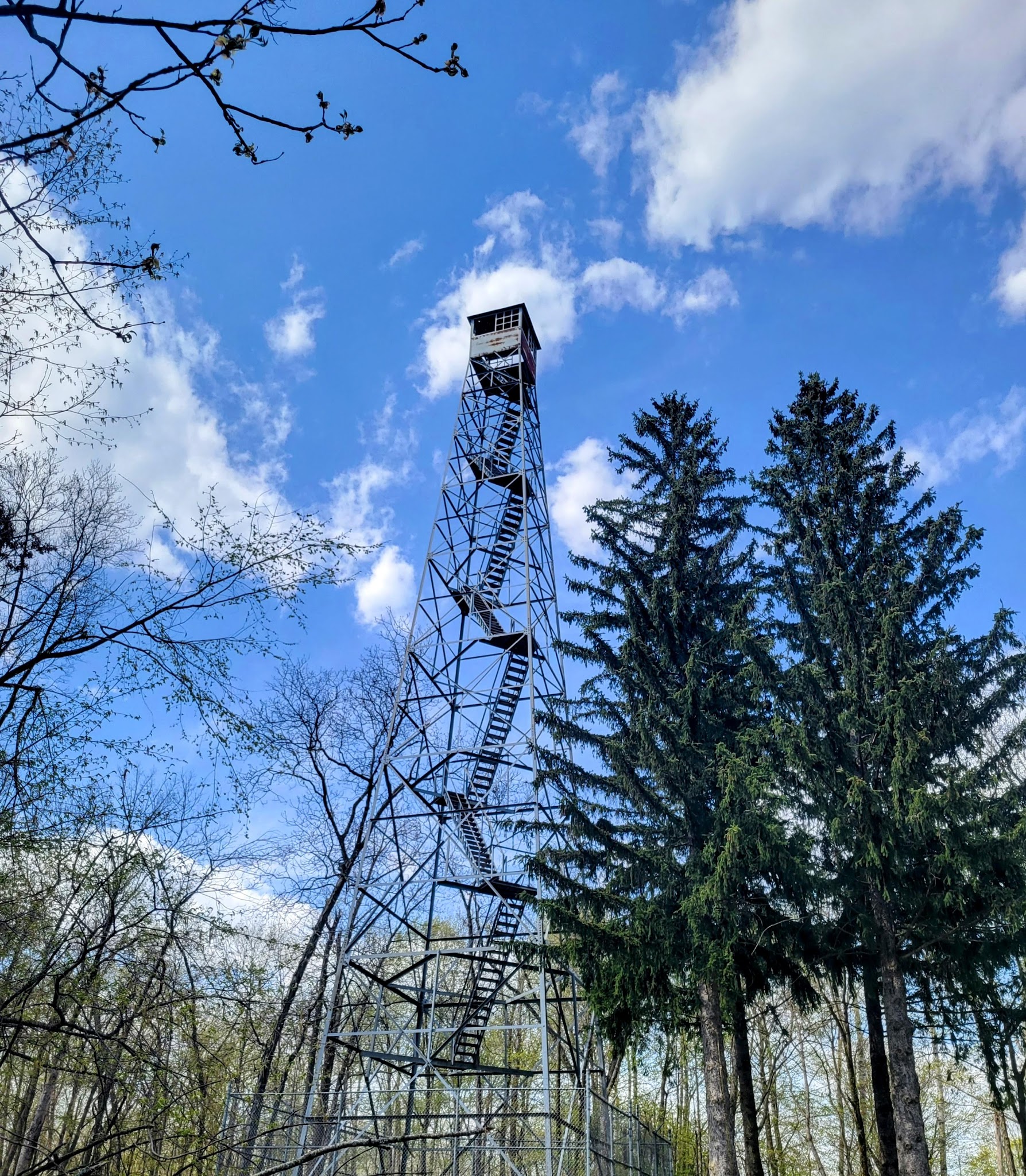 Yellow River State Forest