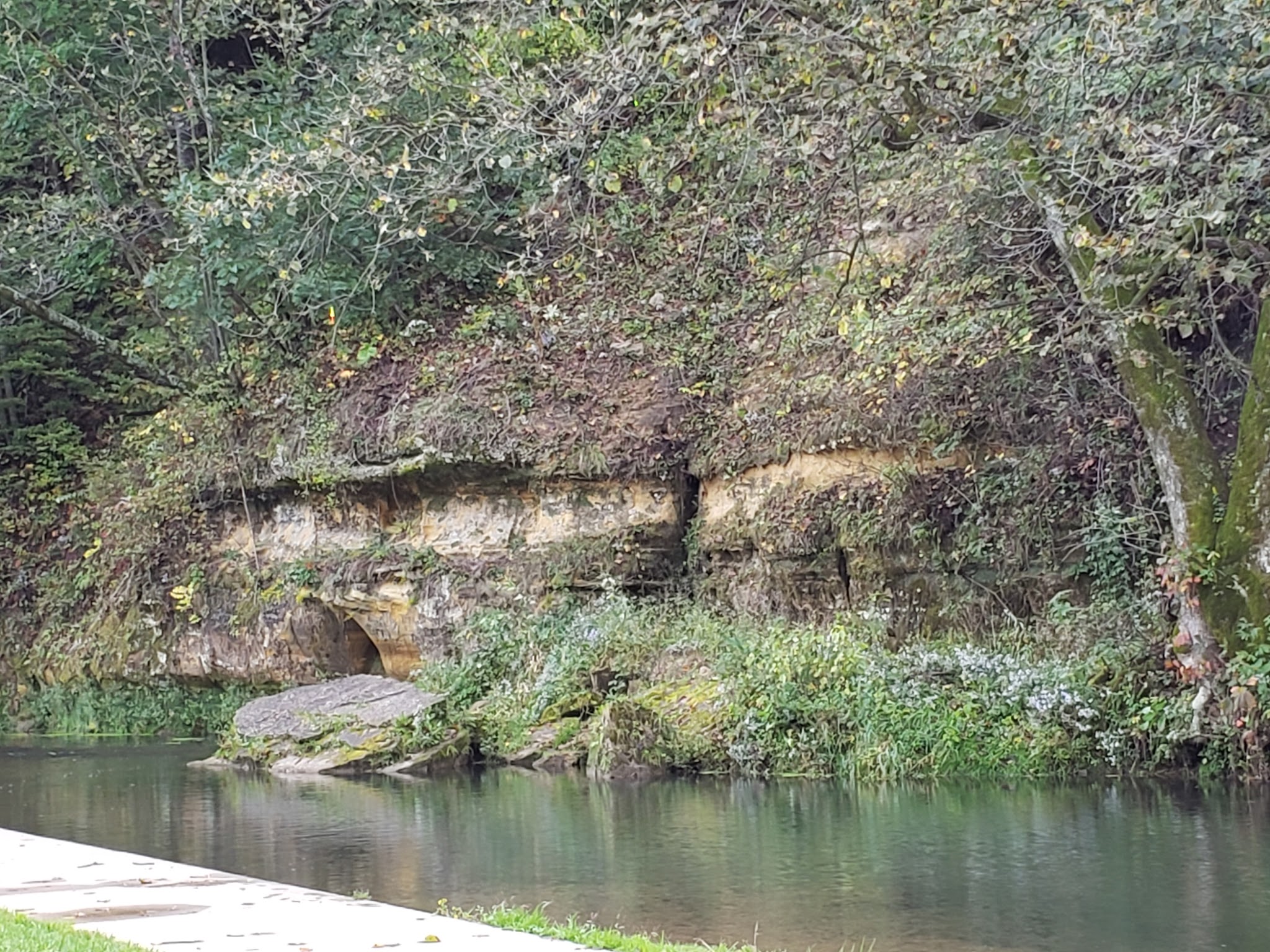 Yellow River State Forest