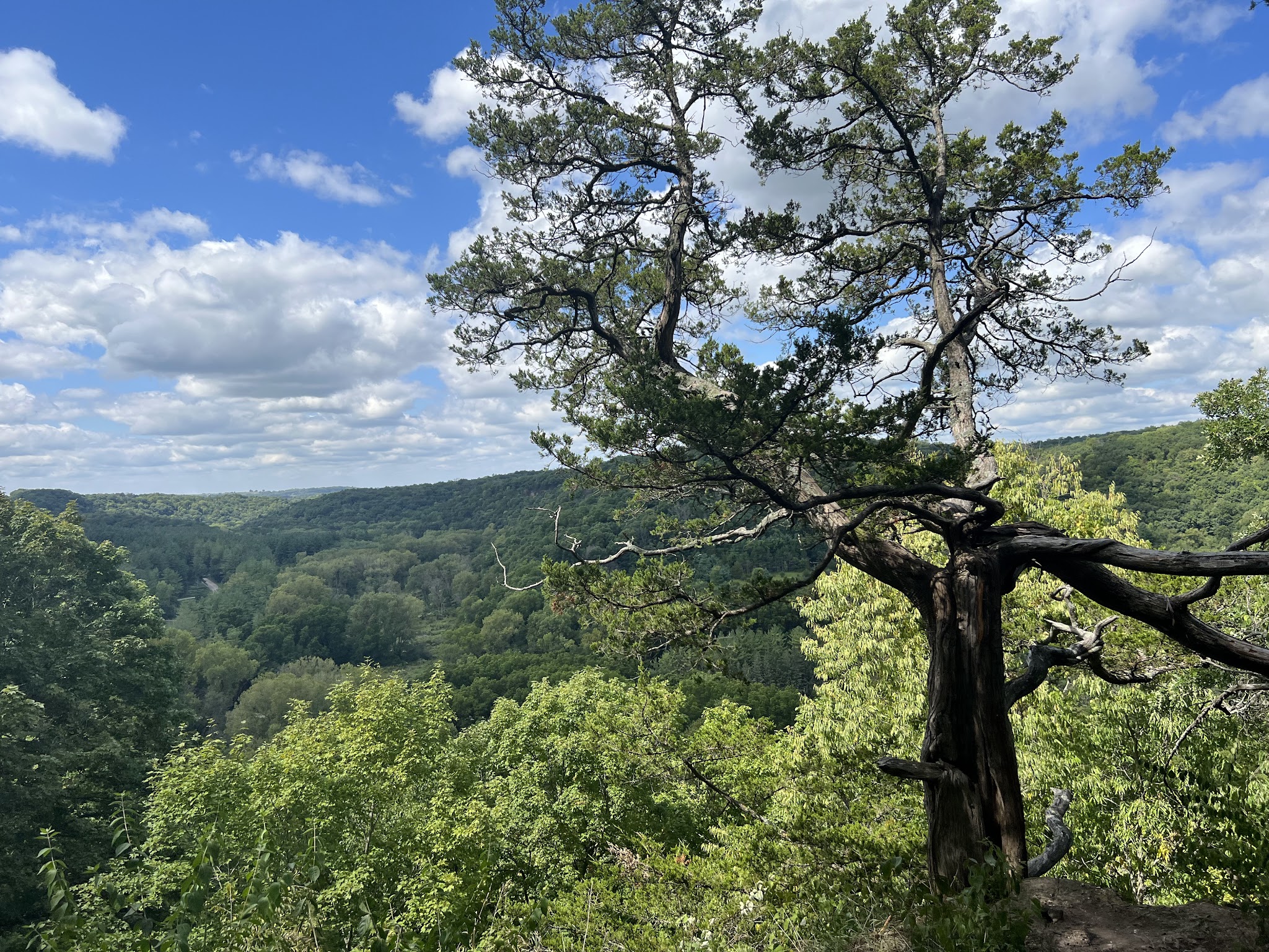 Yellow River State Forest