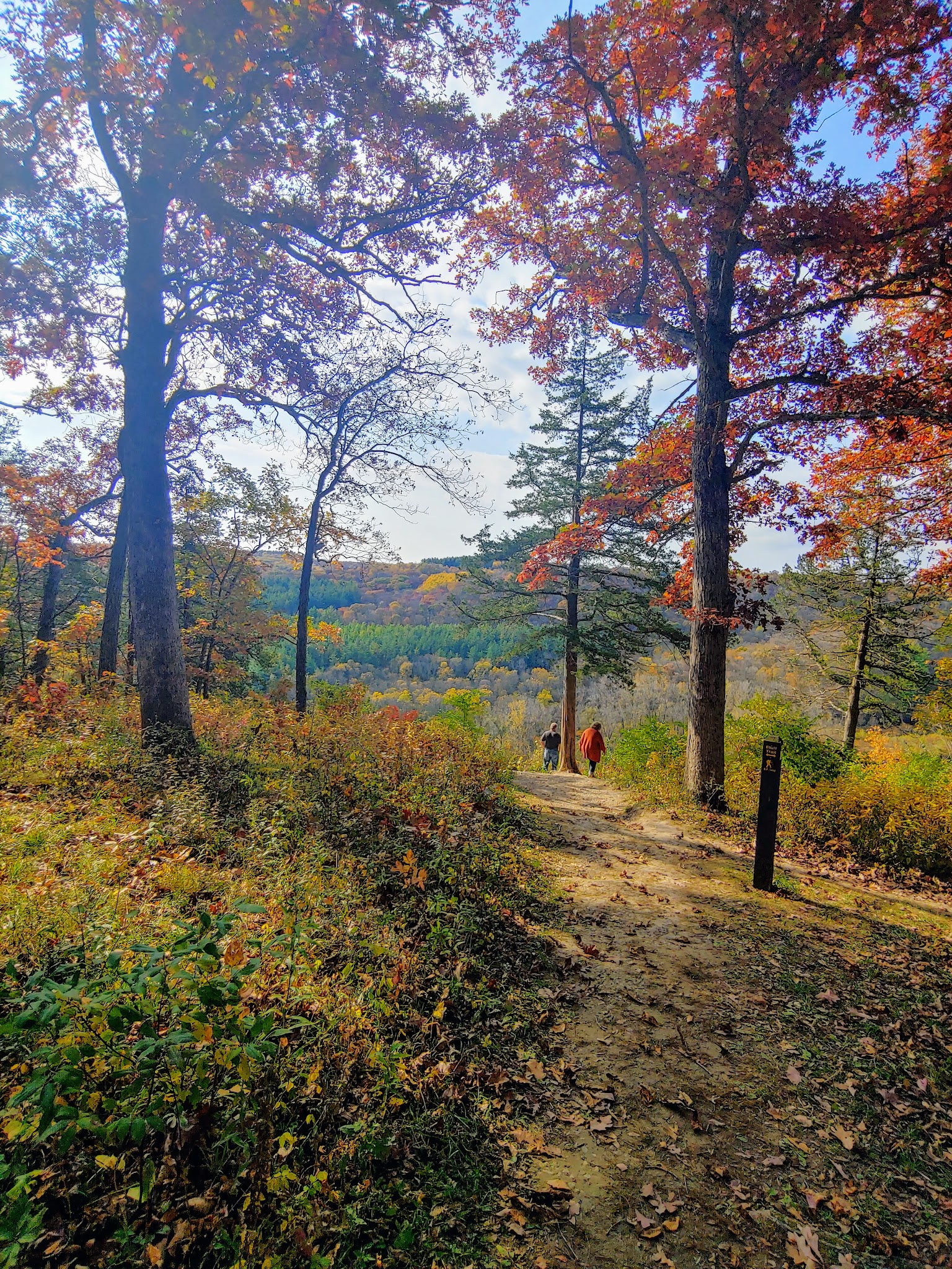 Yellow River State Forest
