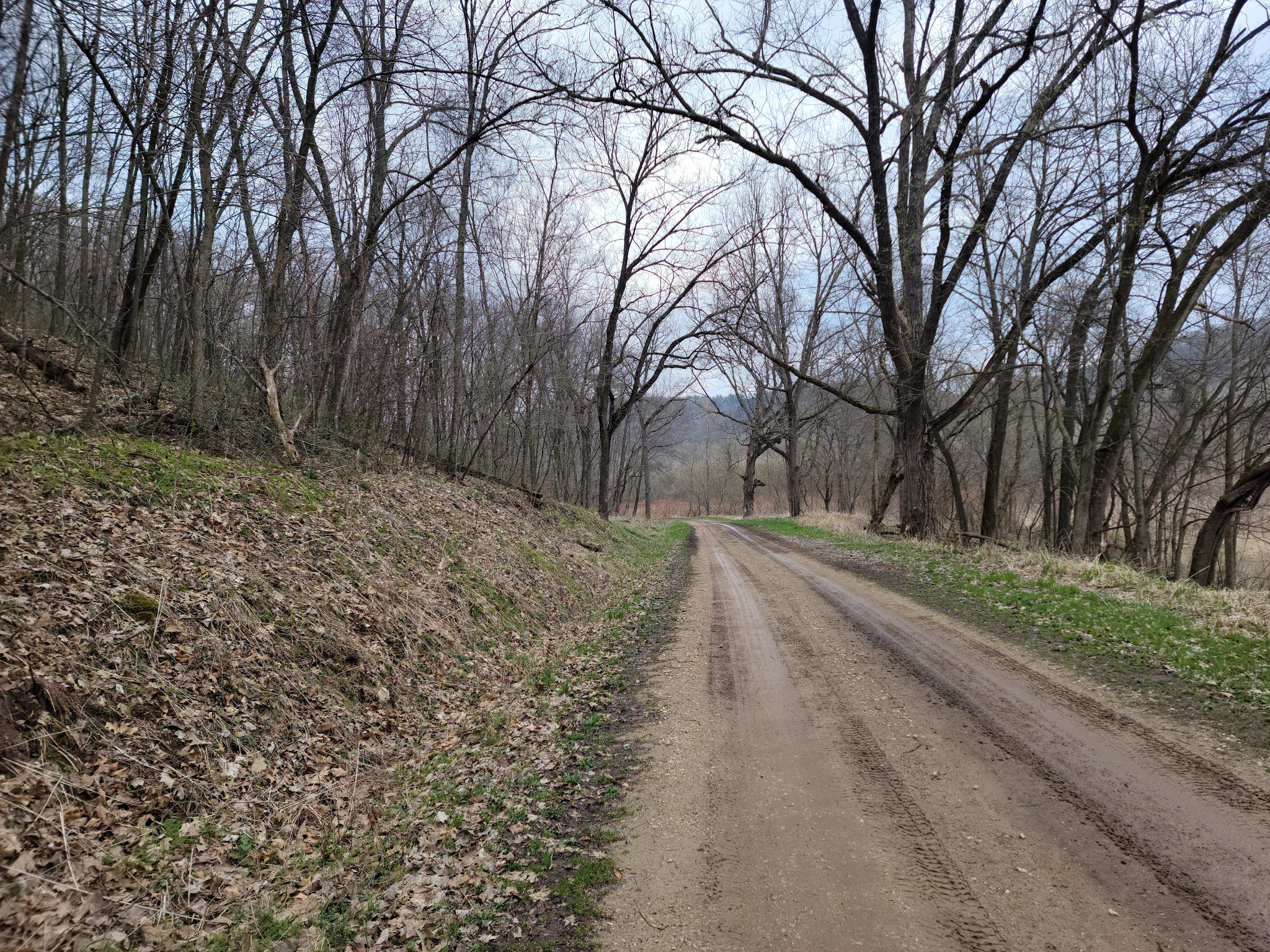 Yellow River State Forest