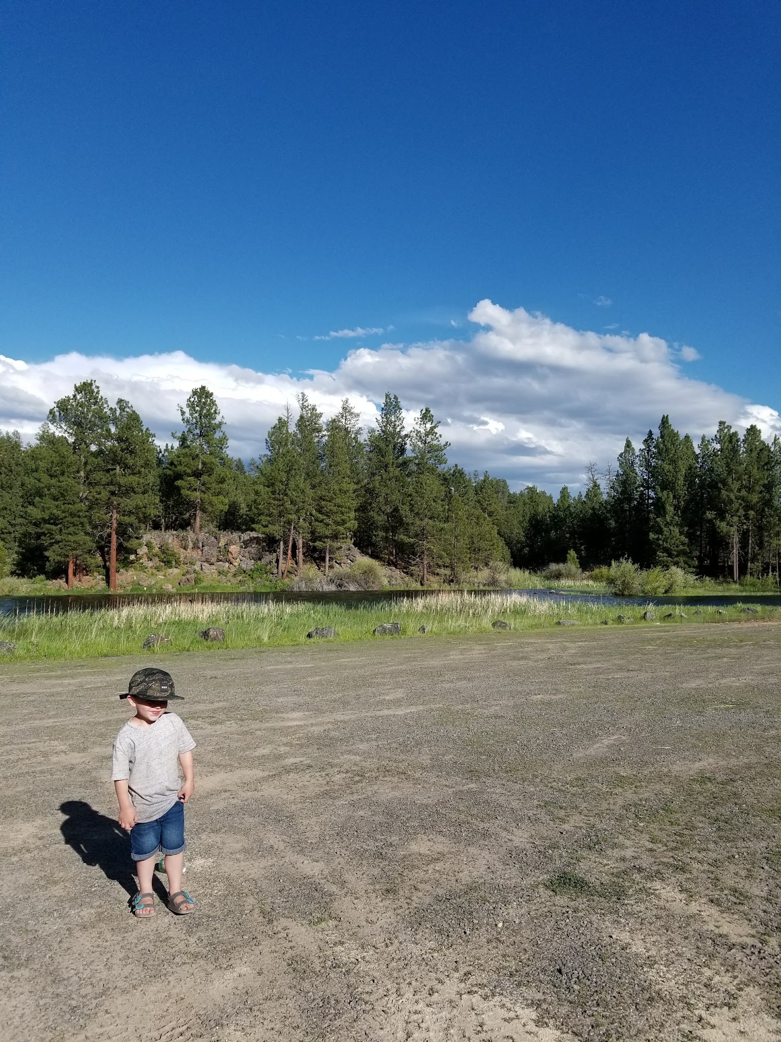 Yellowjacket Campground