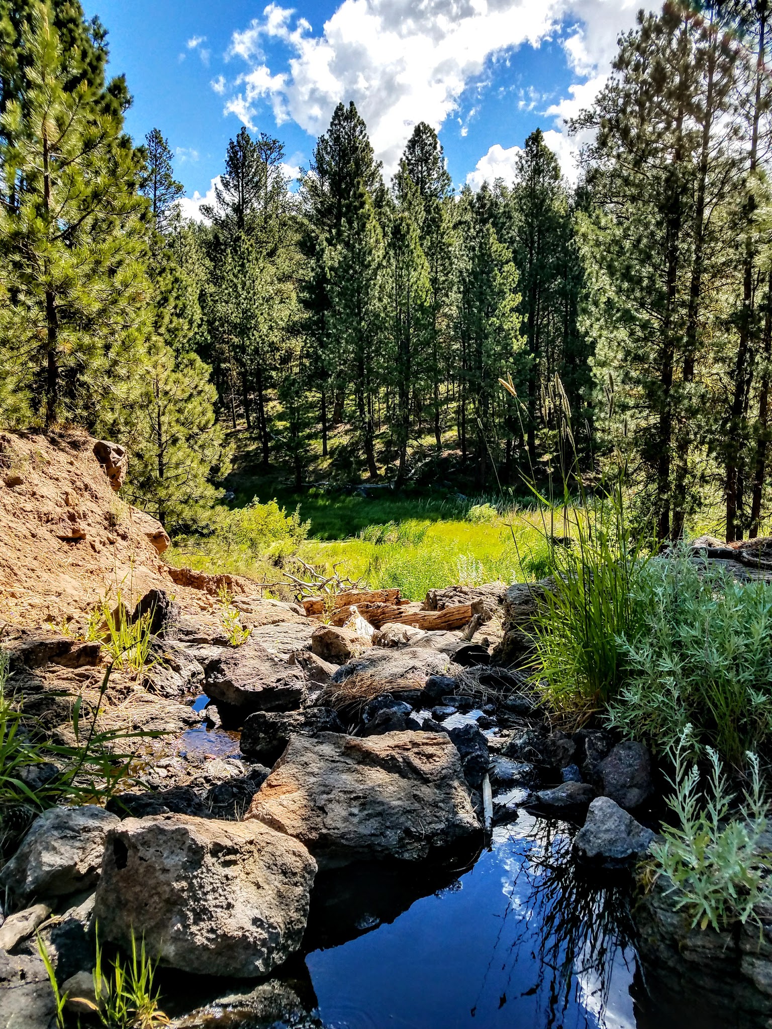 Yellowjacket Campground
