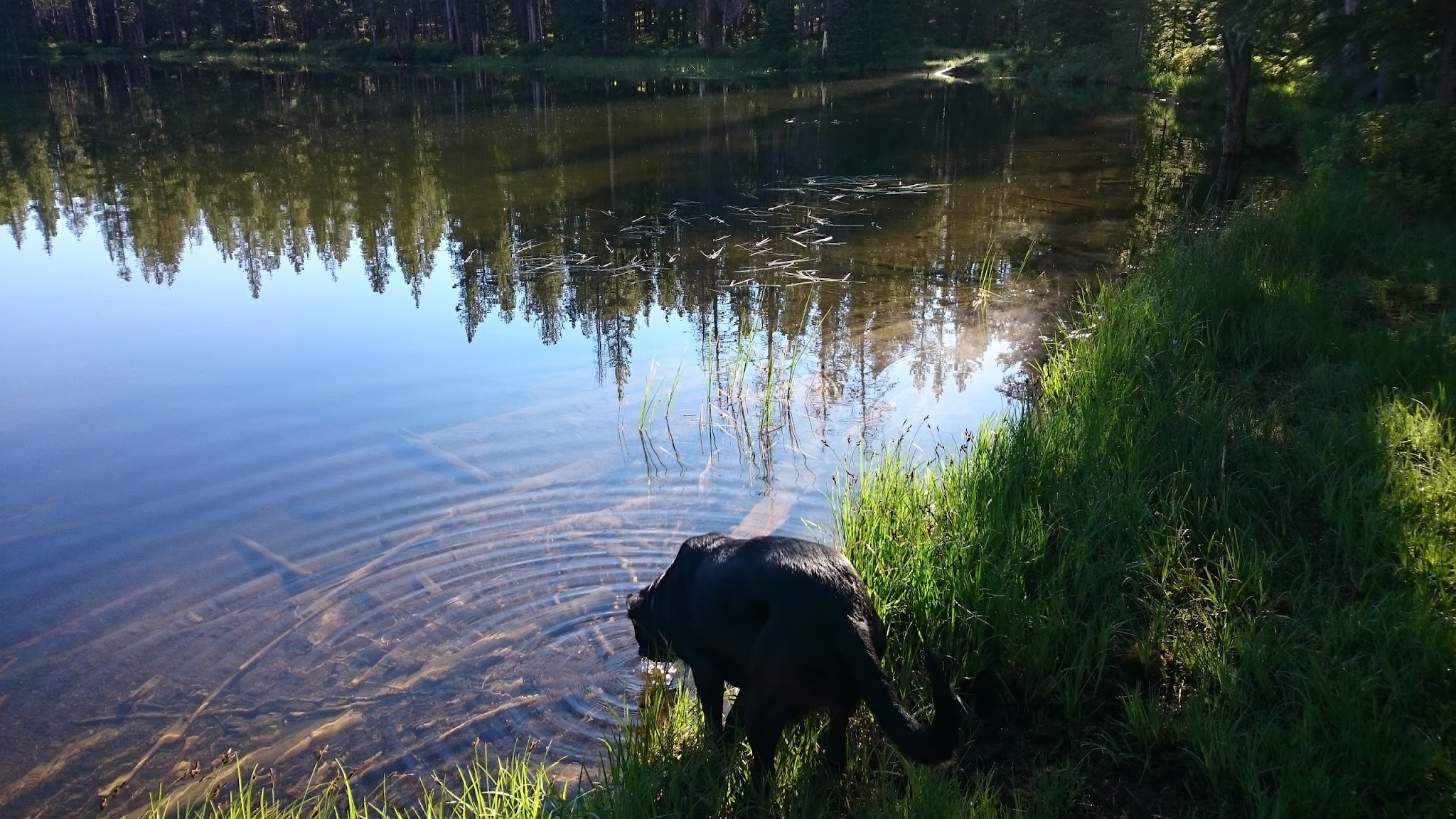 Yellowjacket Lake Campground