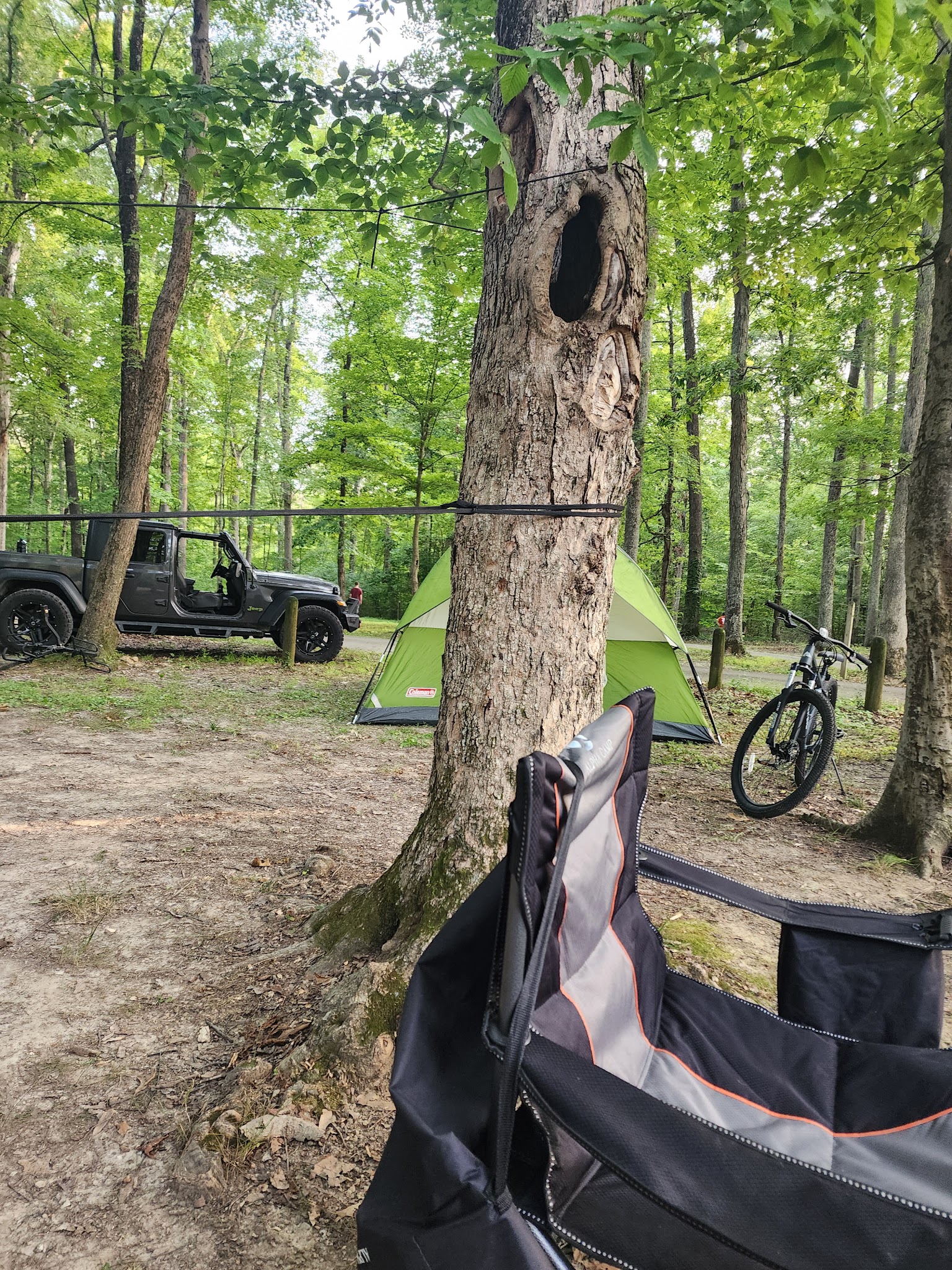 Yellowwood State Forest