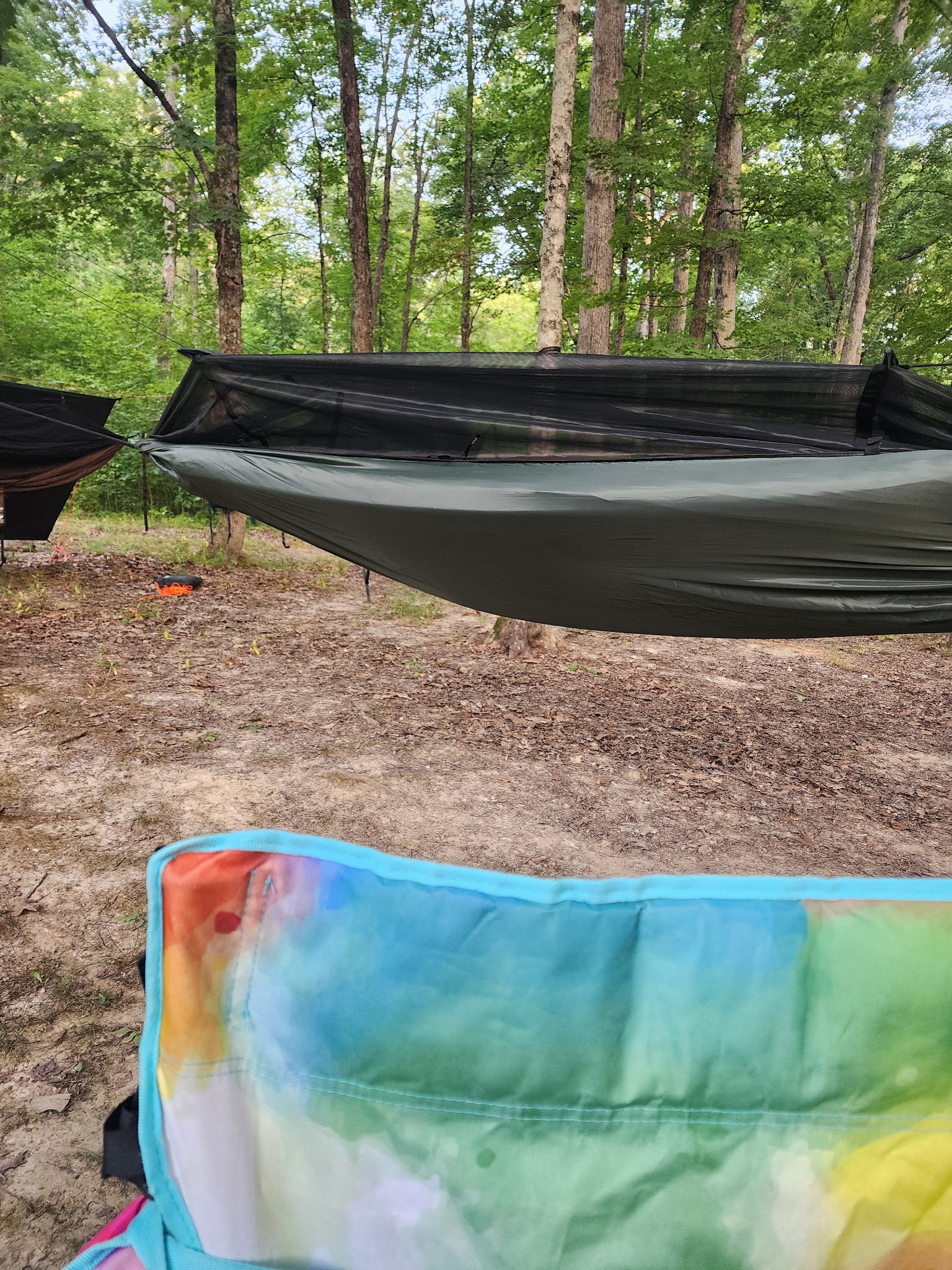 Yellowwood State Forest