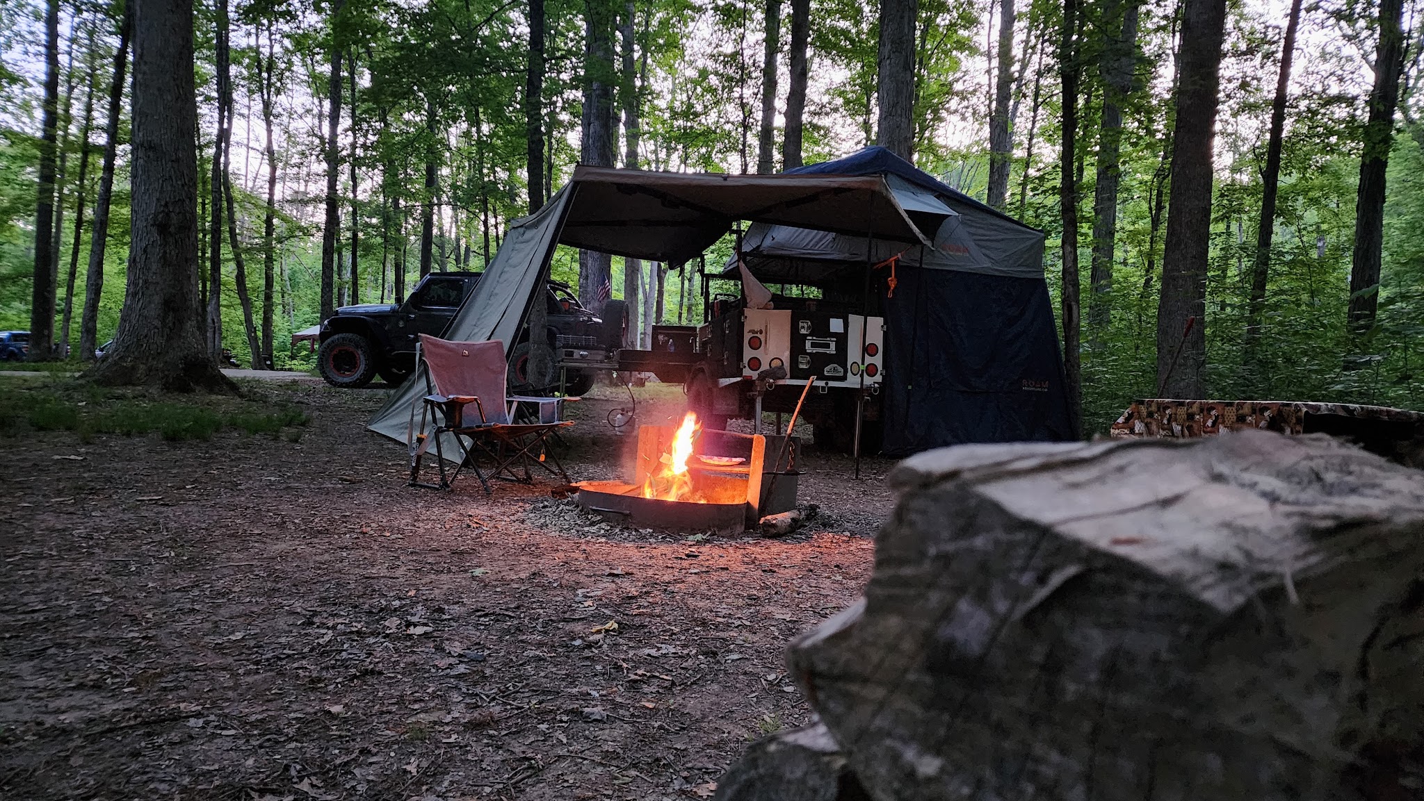 Yellowwood State Forest