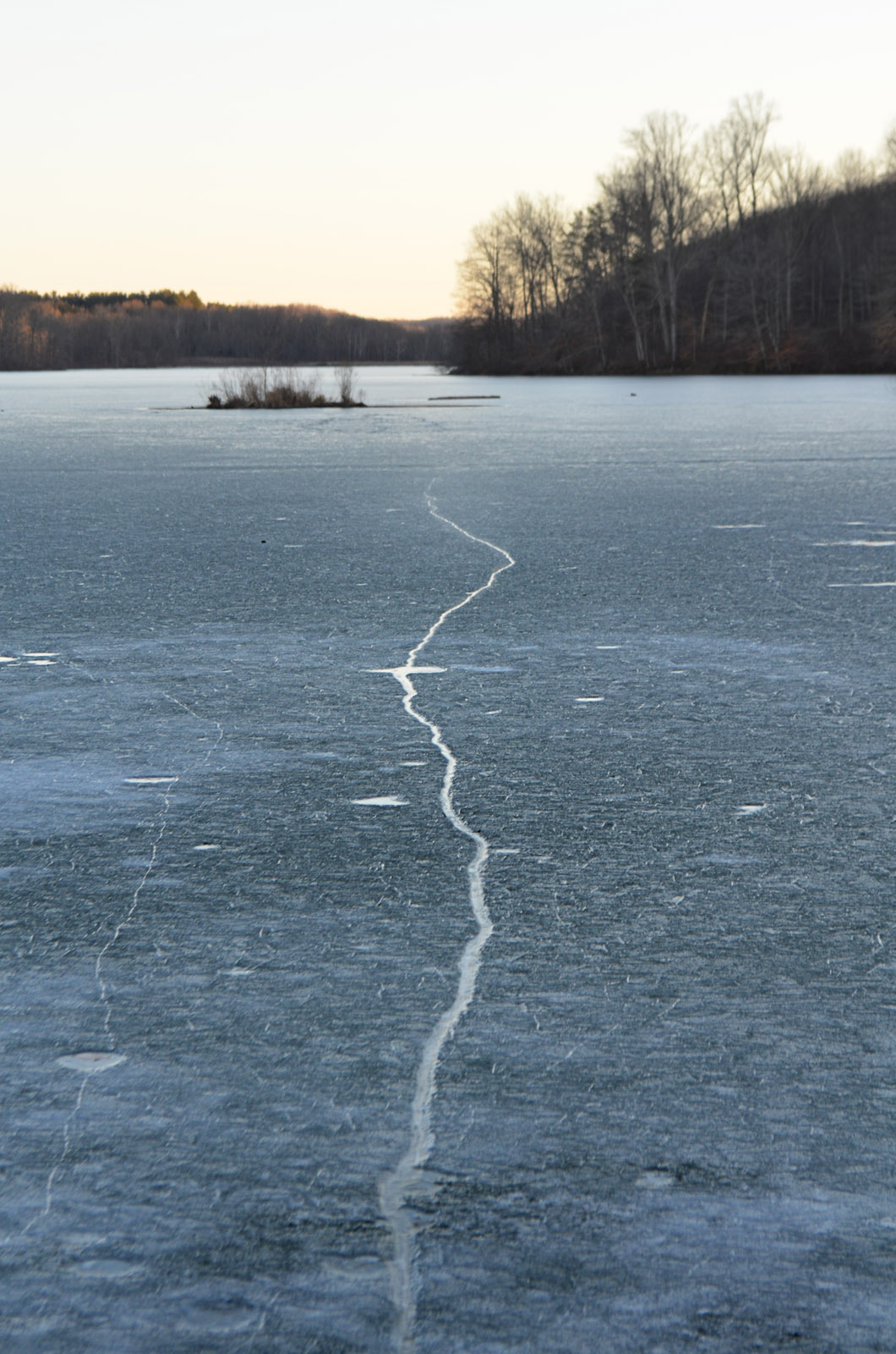 Yellowwood State Forest