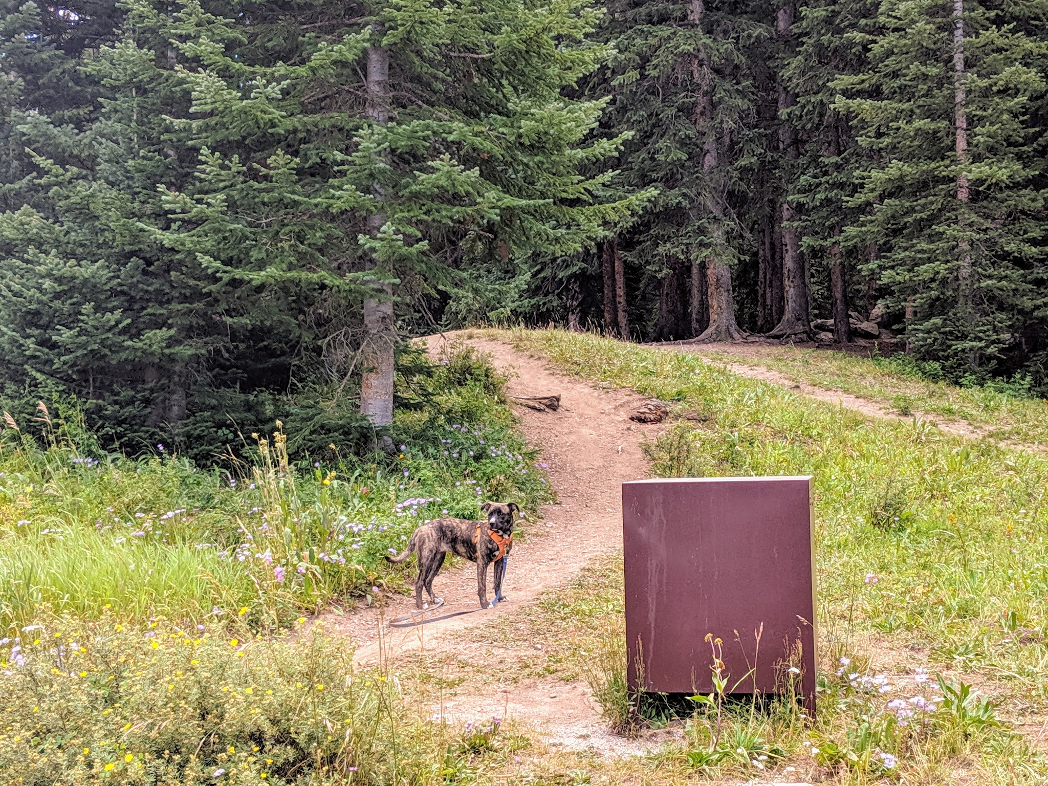 Yeoman Park Campground