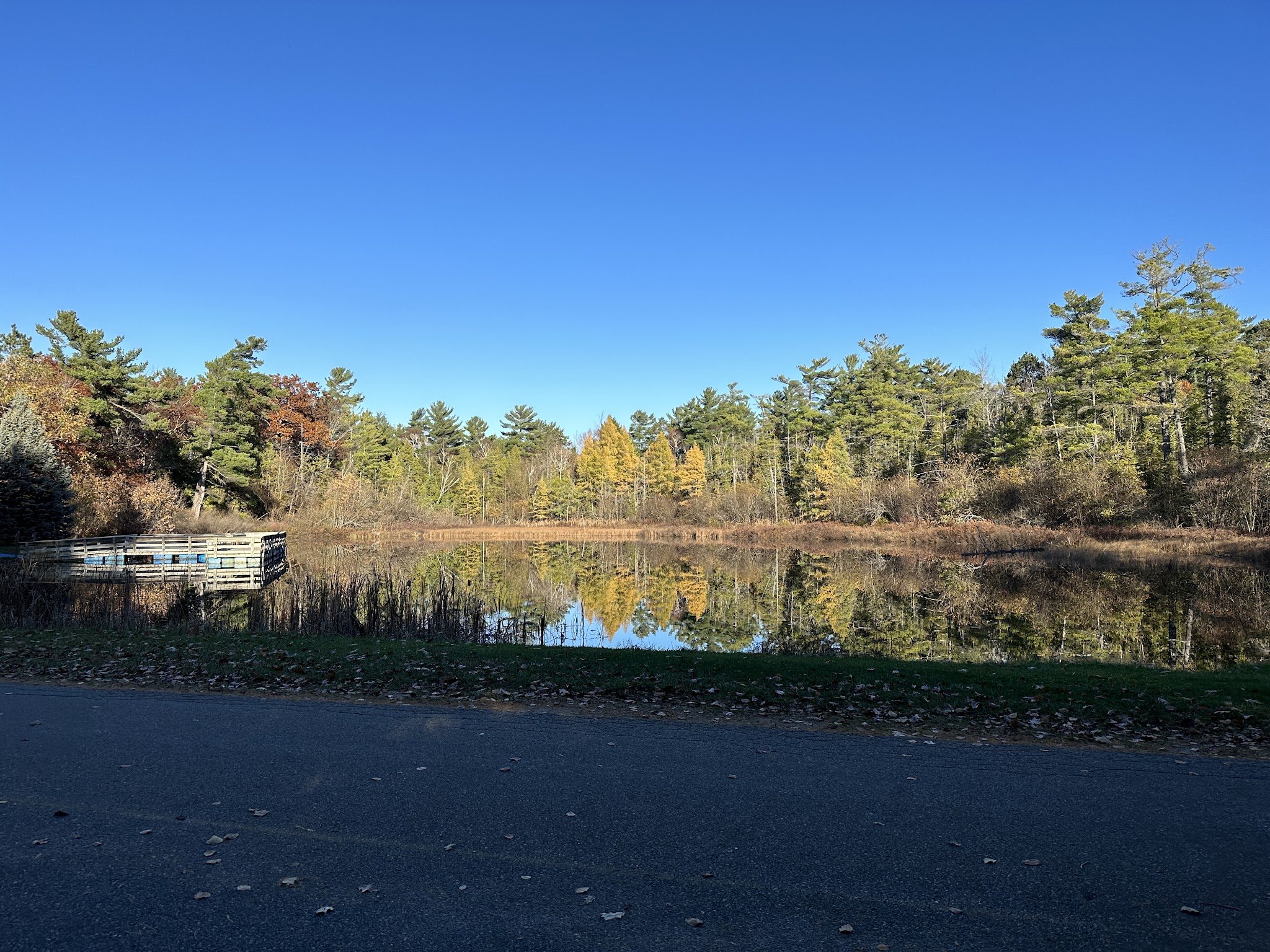 Young-Oak Campground