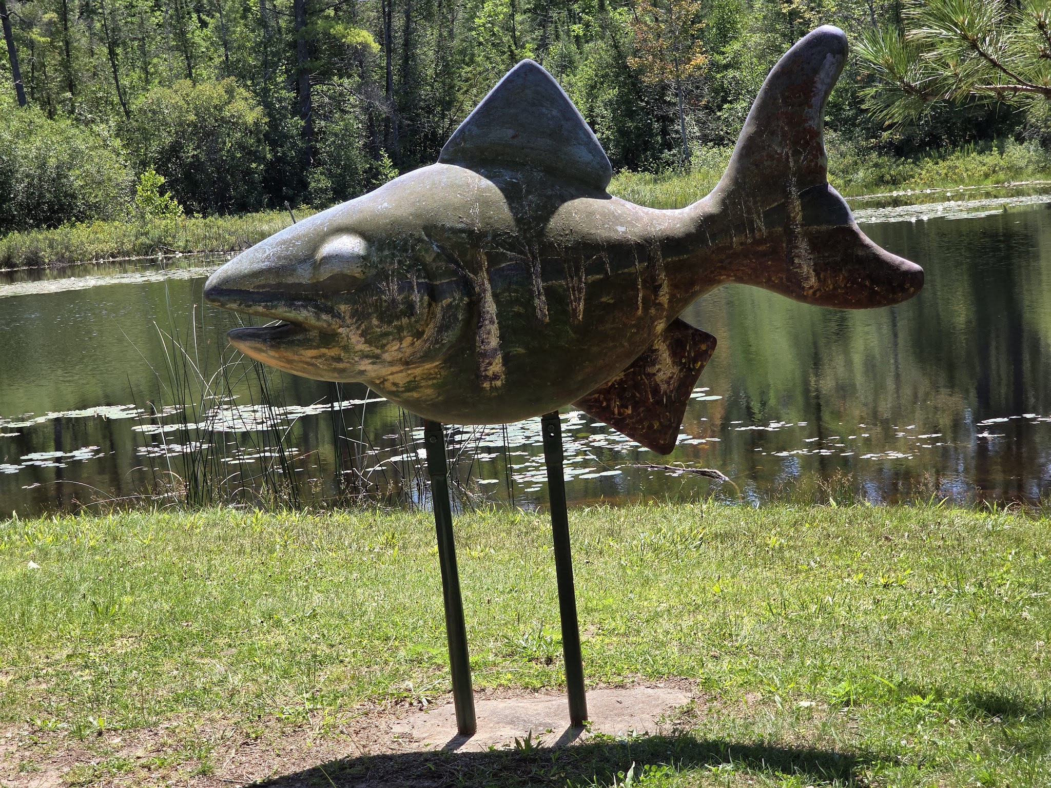 Young-Oak Campground