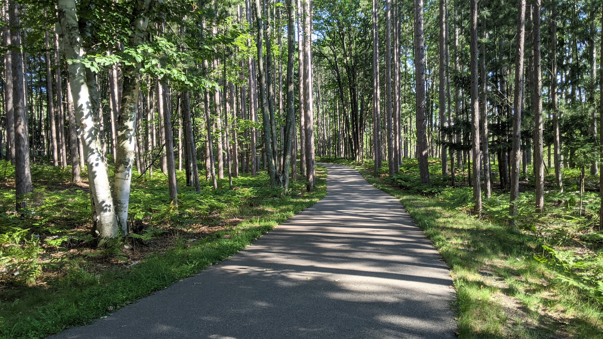 Young-Oak Campground