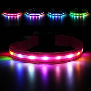 LED USB Rechargeable Dog Collar
