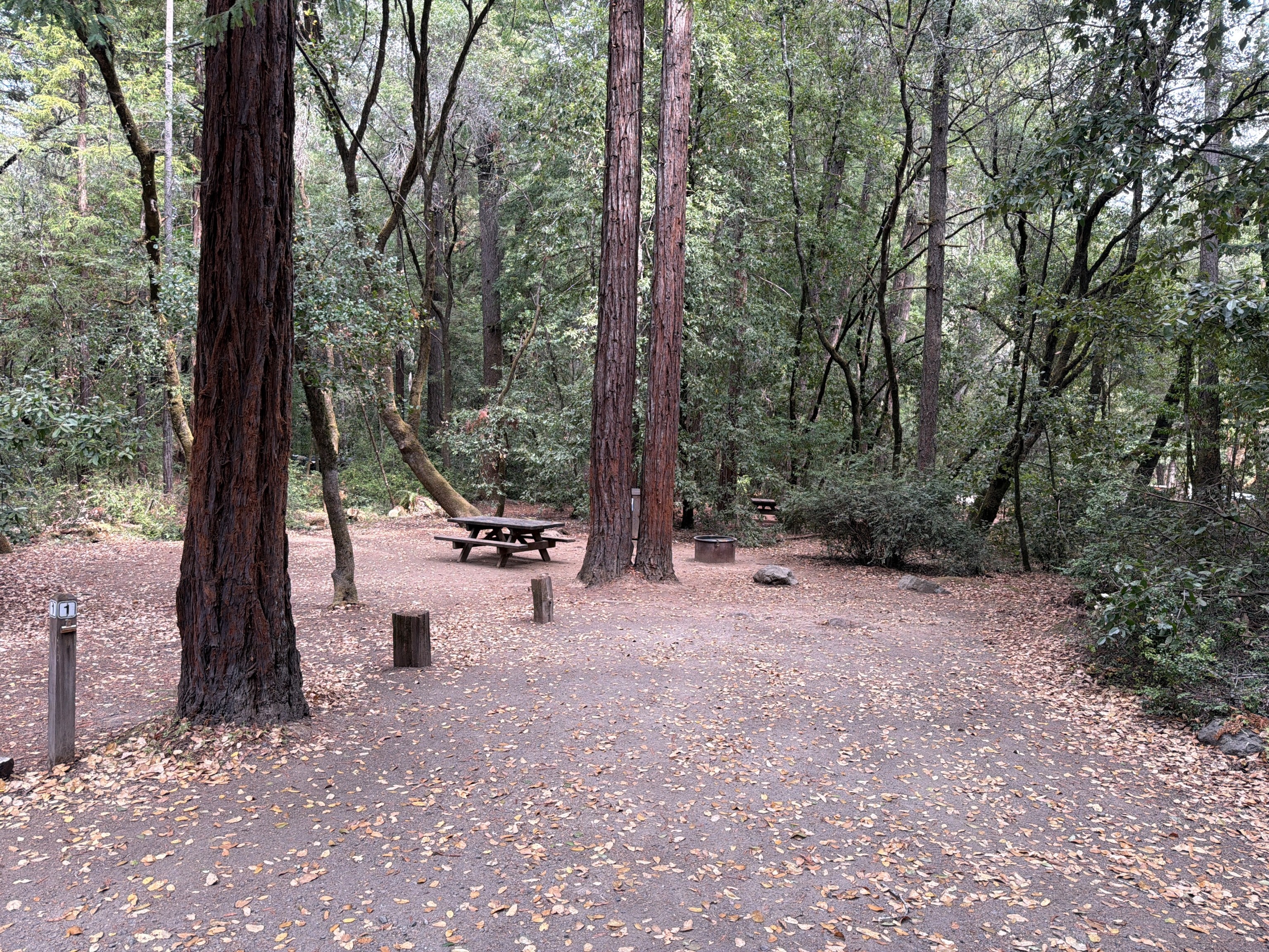 Azalea Campground