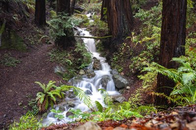Alice Eastwood Group Campground