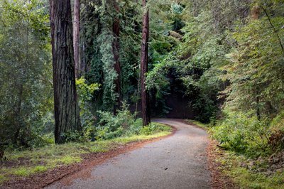 Alice Eastwood Group Campground