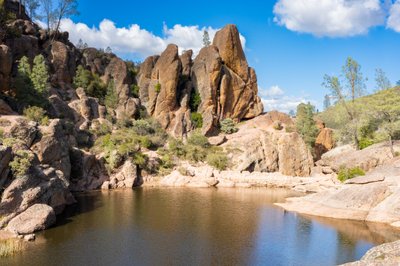 Pinnacles Campground
