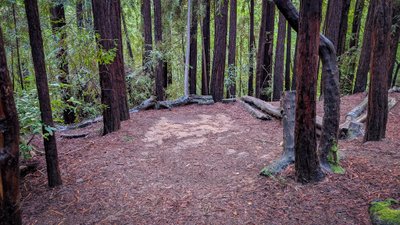 Alice Eastwood Group Campground